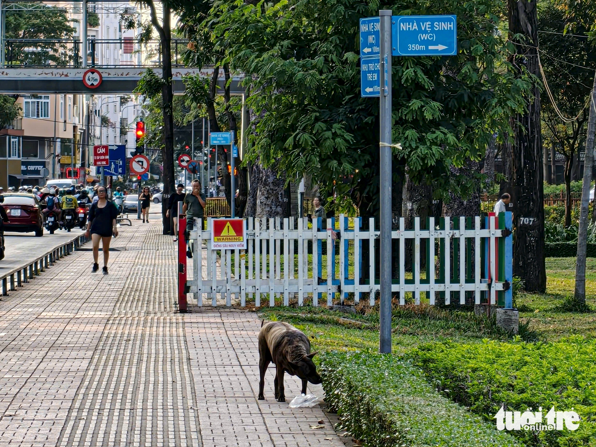 Unleashed dogs raise safety concerns in Ho Chi Minh City public places - Ảnh 3.