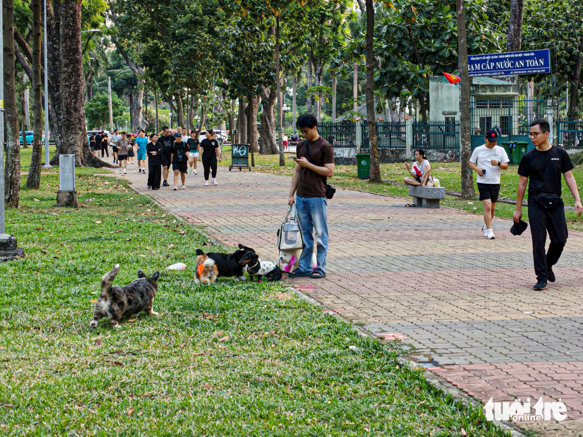 Unleashed dogs raise safety concerns in Ho Chi Minh City public places - Ảnh 4.