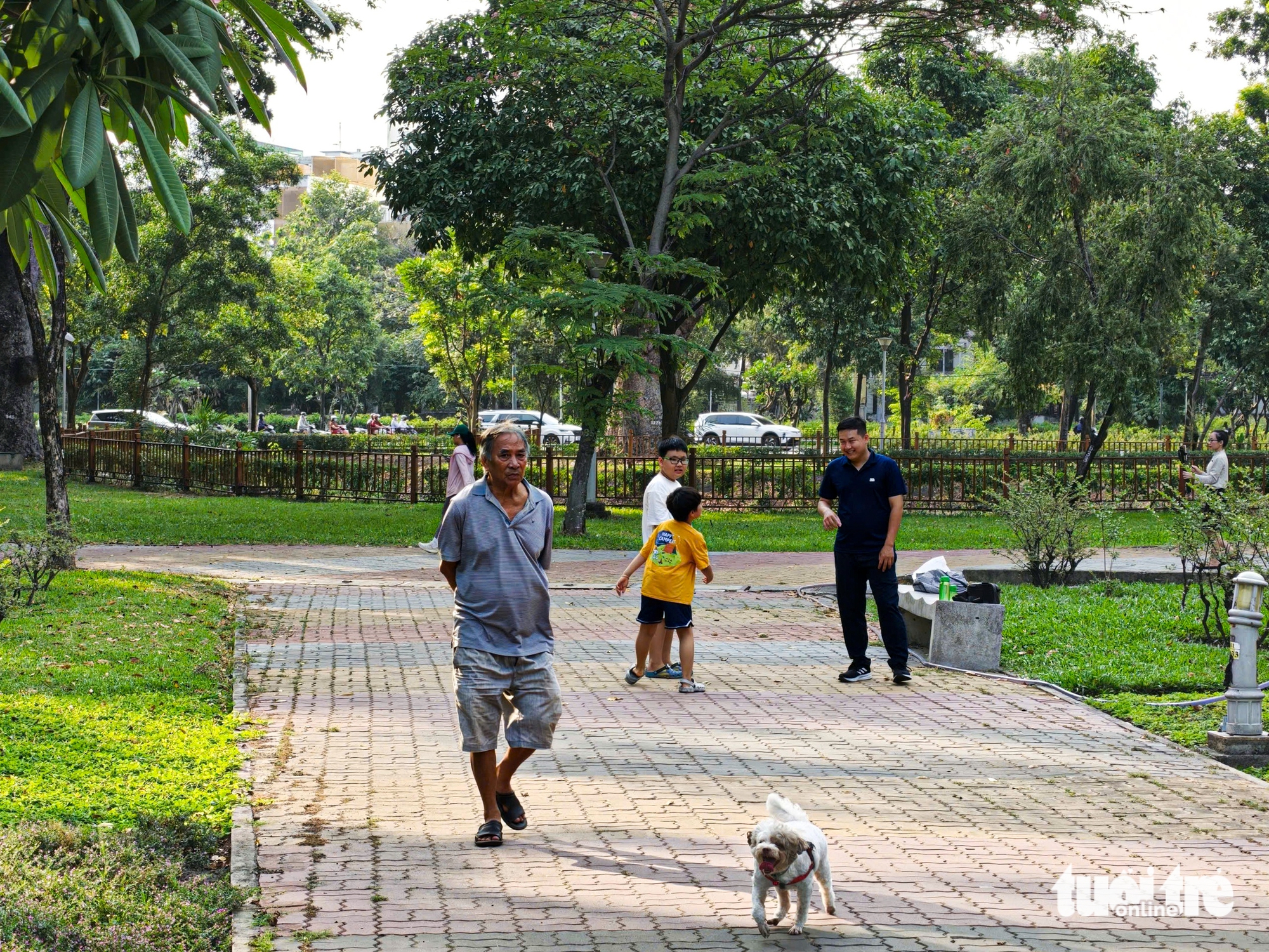 Unleashed dogs raise safety concerns in Ho Chi Minh City public places - Ảnh 5.