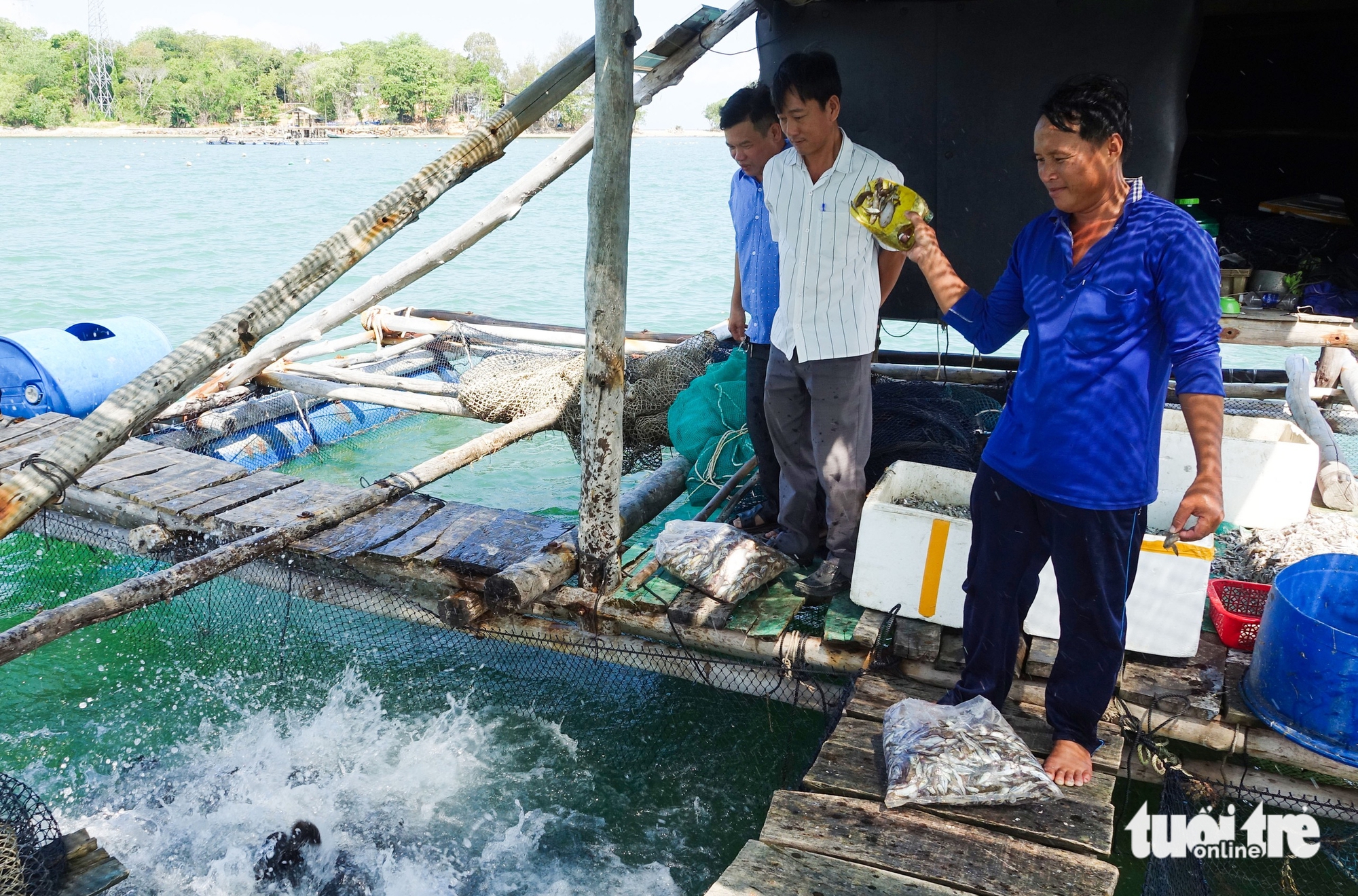 đảo Hải Tặc - Ảnh 1.