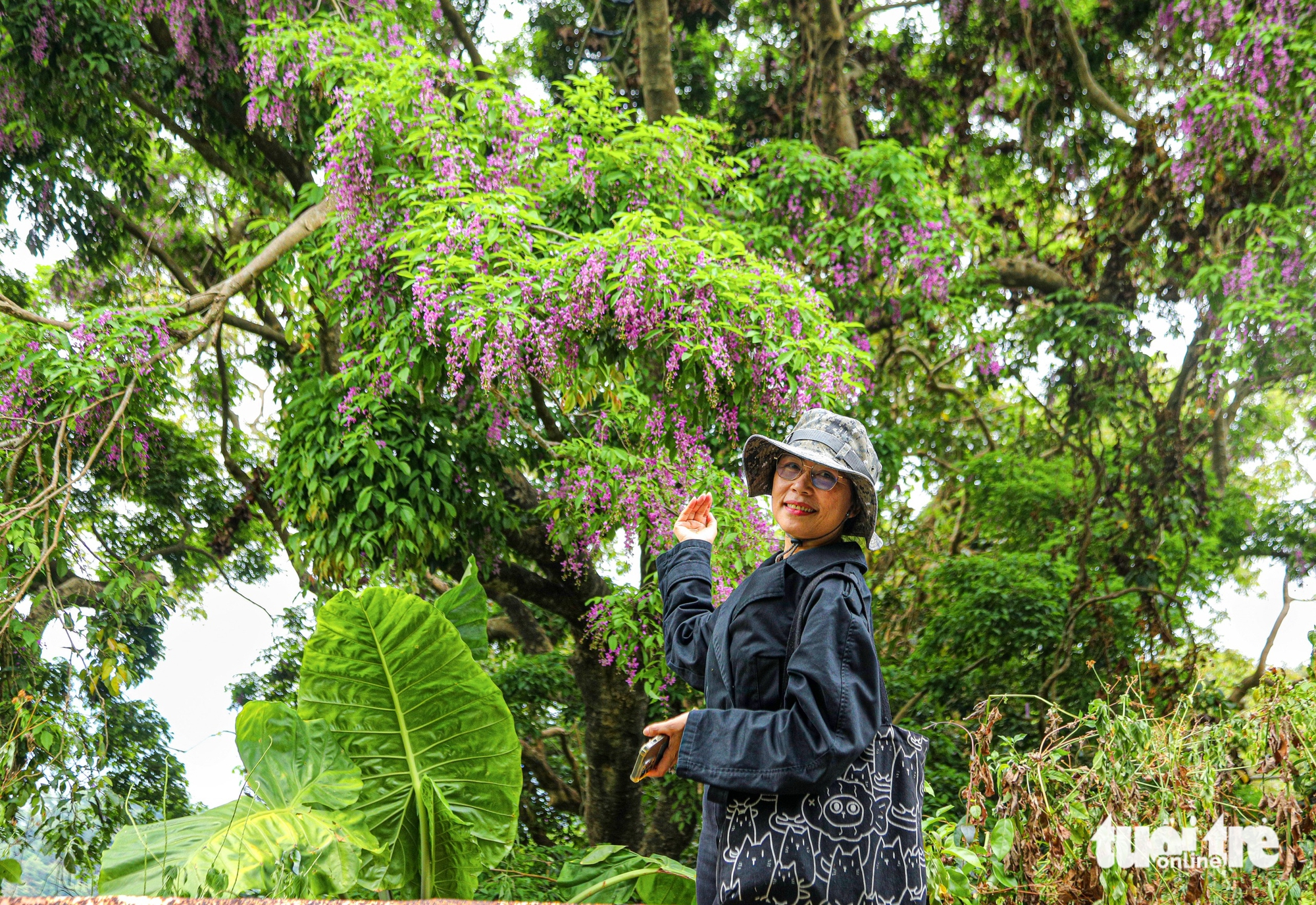 Sơn Trà - Ảnh 6.