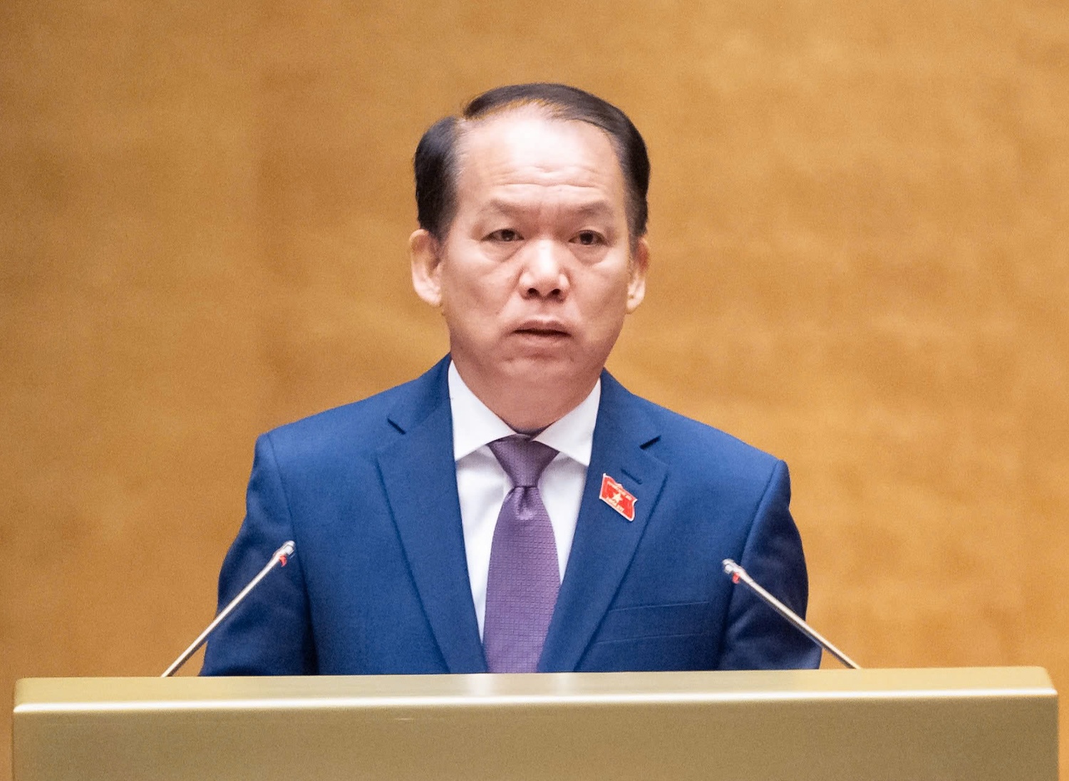 luật sư công - Ảnh 1.