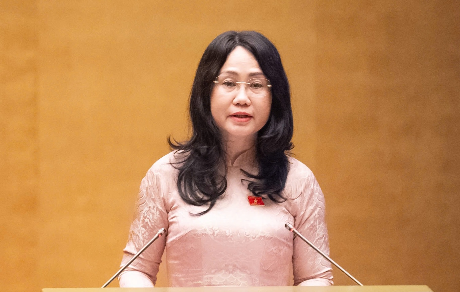 Ngày Văn hóa Việt Nam - Ảnh 1.