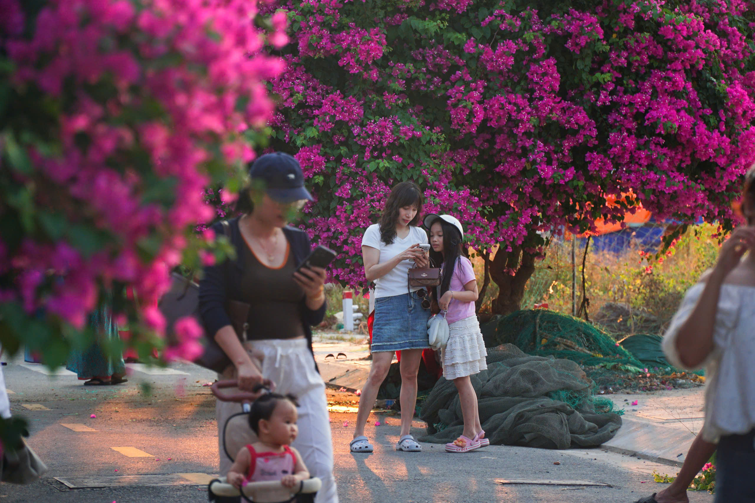 Nha Trang - Ảnh 2.