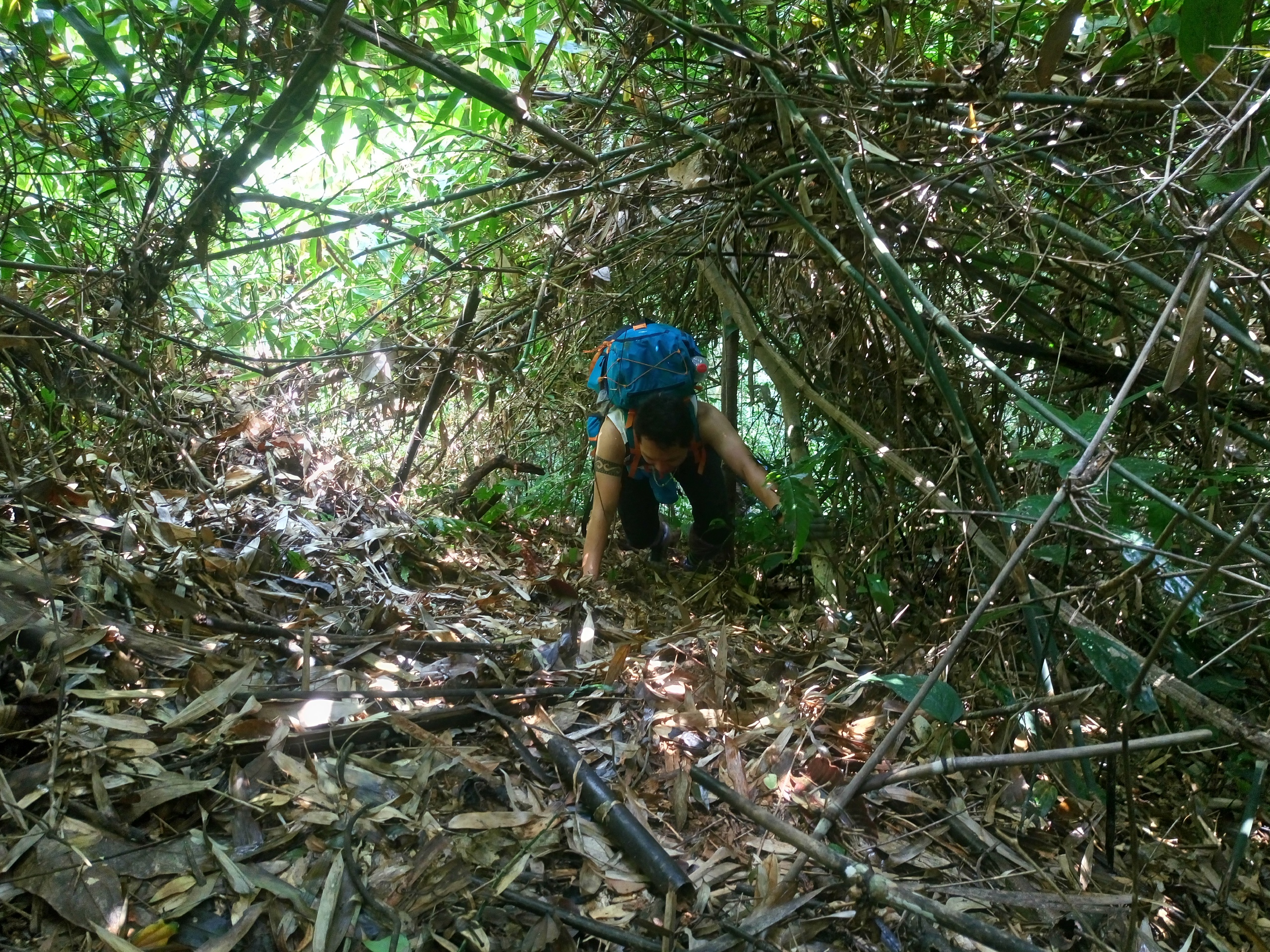 tam đảo bắc - Ảnh 4.