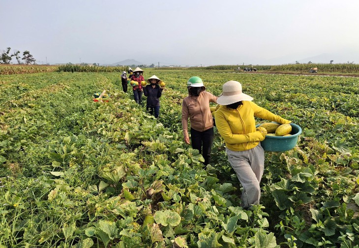 Nhà không cần khóa cửa, hàng xóm mang qua mang lại tô canh nóng, thời đó đã thành xa xưa? - Ảnh 1.