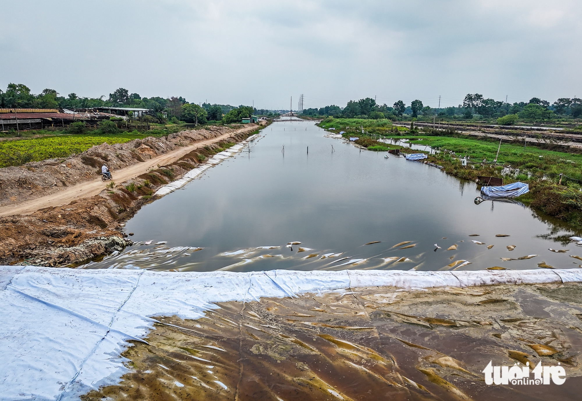 Ban Giao thông TP.HCM: Vành đai 3 có thể lùi tiến độ khai thác đến cuối năm 2026 - Ảnh 3.