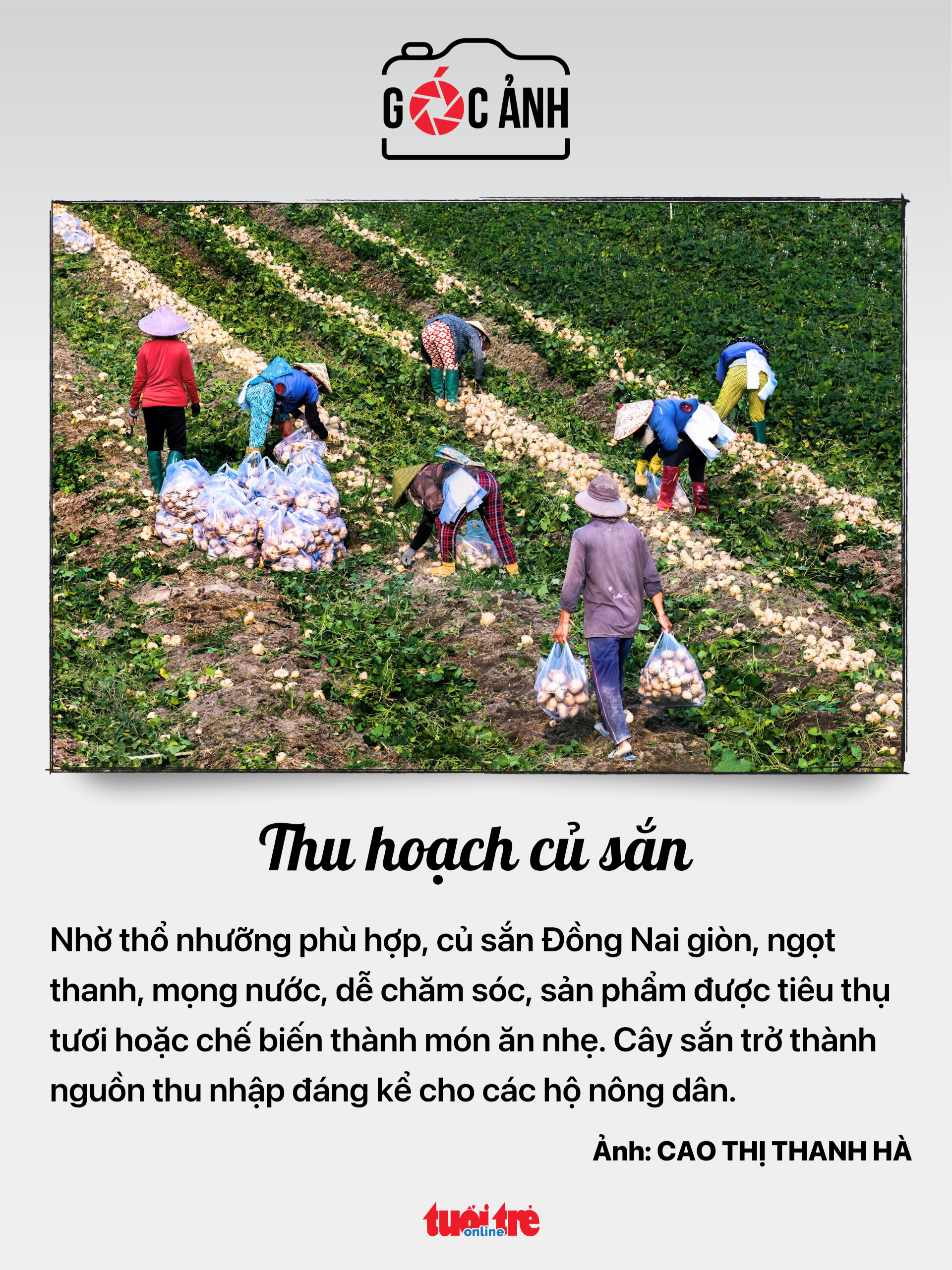 hộ kinh doanh - Ảnh 7.