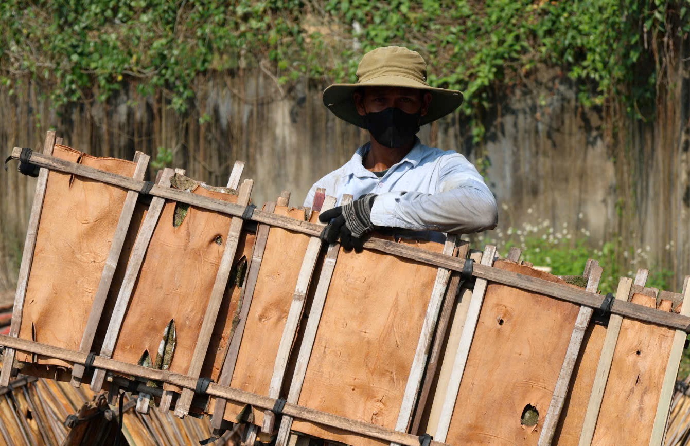 quế Trà Bồng - Ảnh 8.