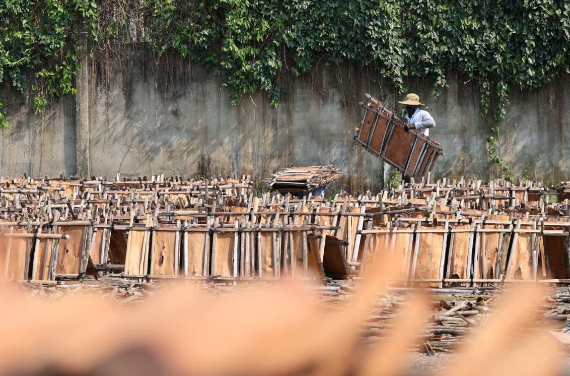 quế Trà Bồng - Ảnh 9.