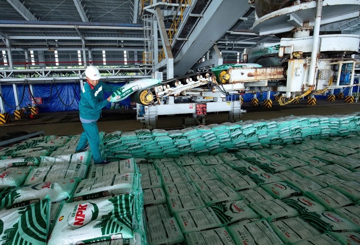 phân bón Cà Mau - Ảnh 1.