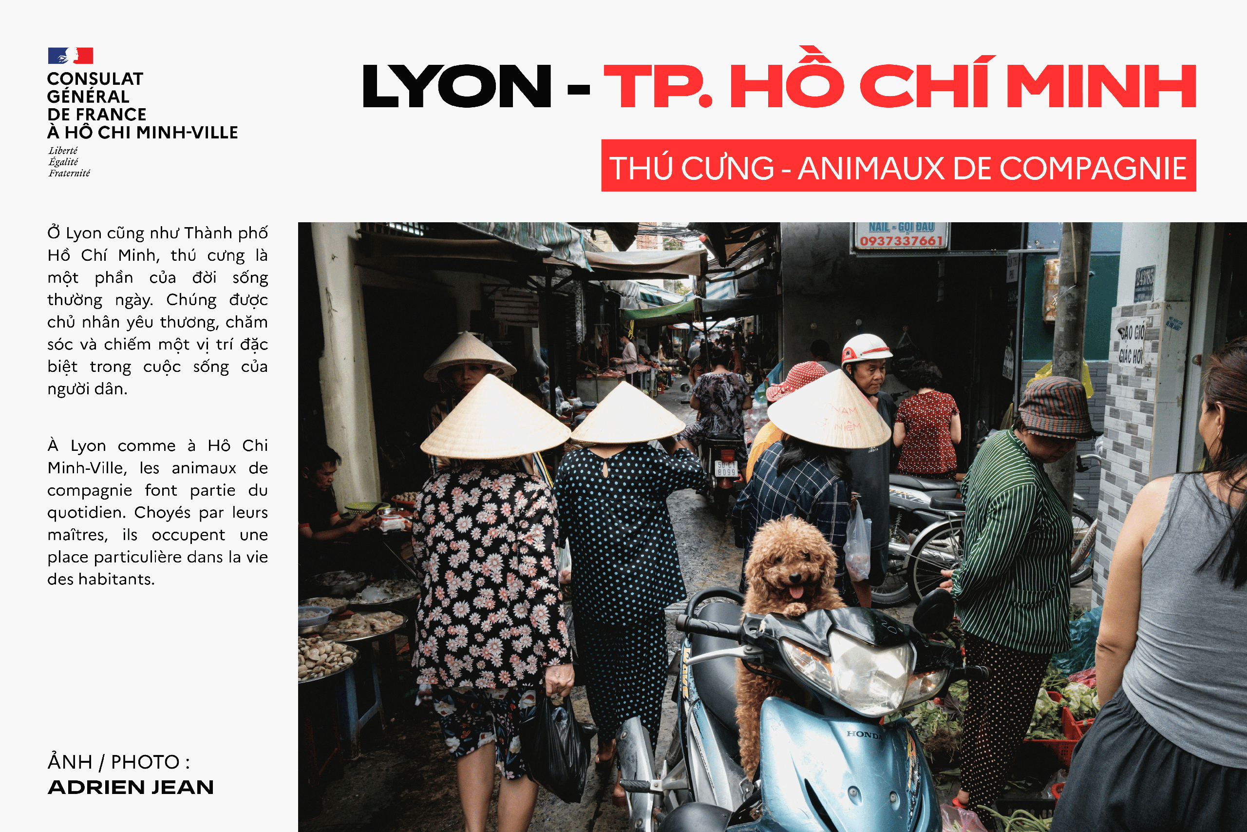 Photo exhibition celebrates Ho Chi Minh City-Lyon sisterhood- Ảnh 10.