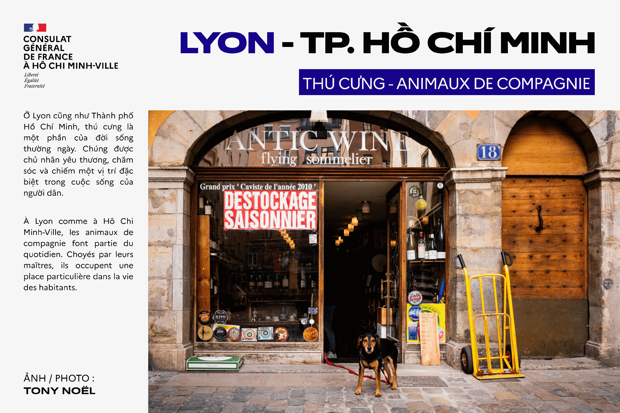 Photo exhibition celebrates Ho Chi Minh City-Lyon sisterhood- Ảnh 11.