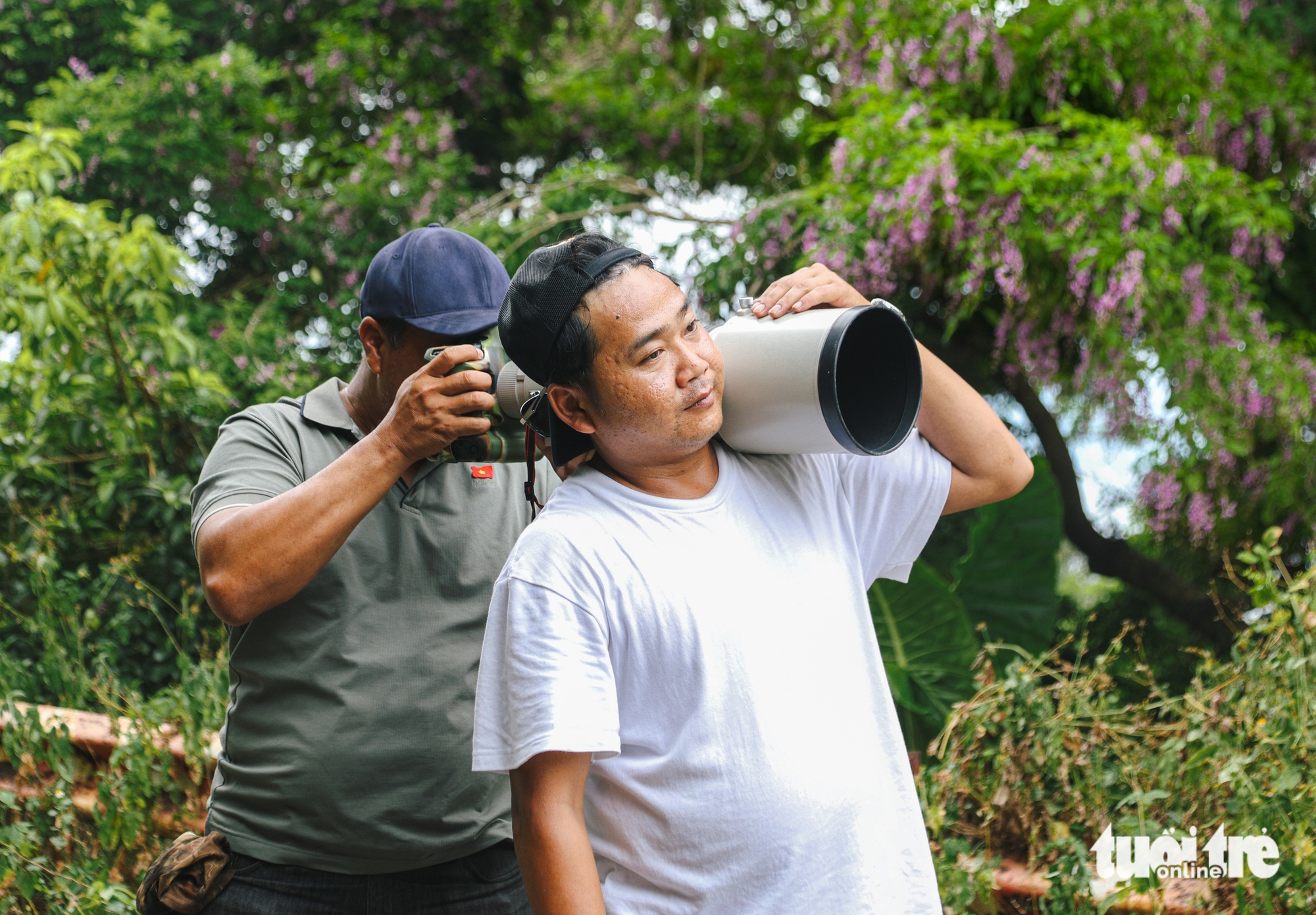 Sơn Trà - Ảnh 2.