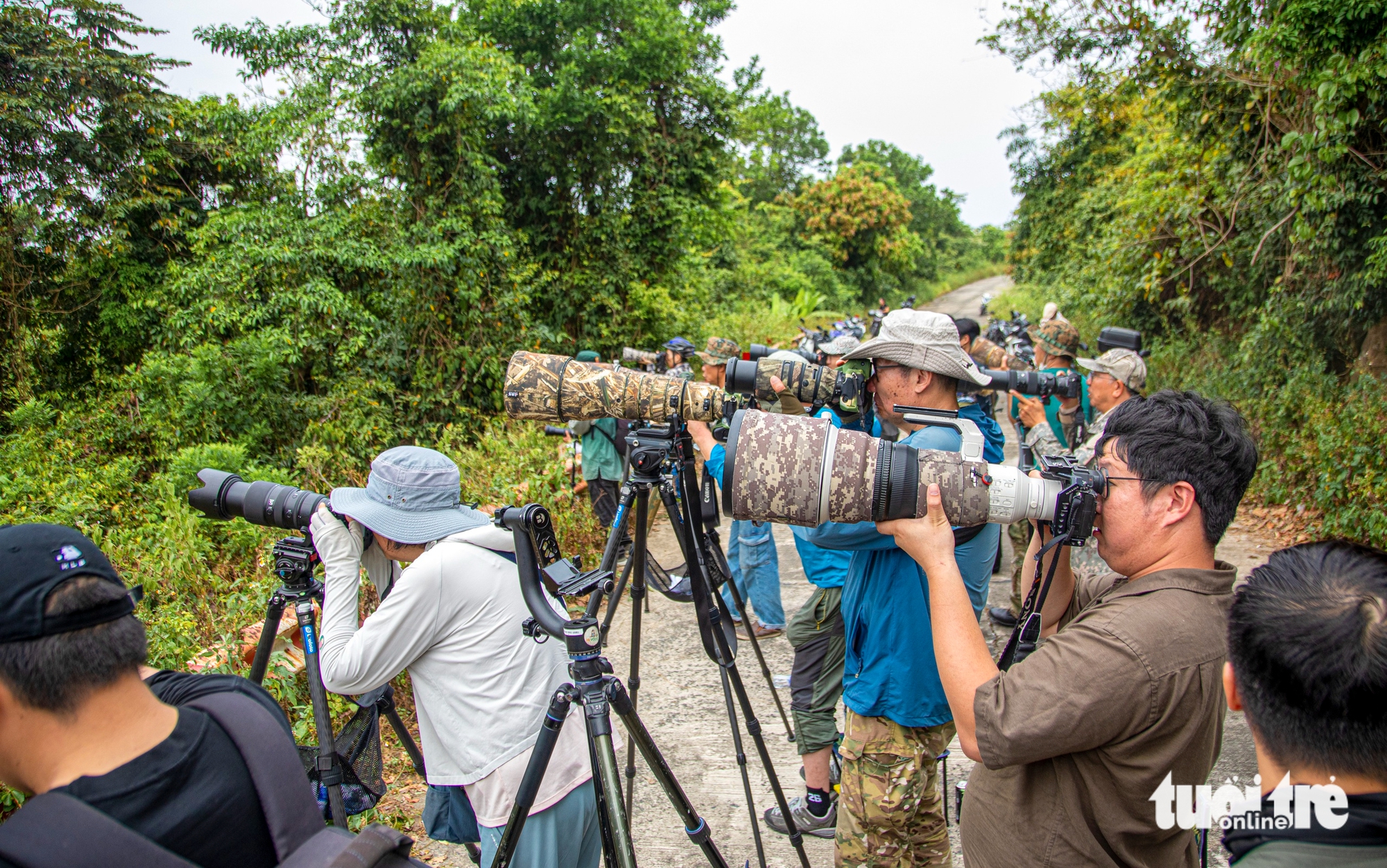 Sơn Trà - Ảnh 4.