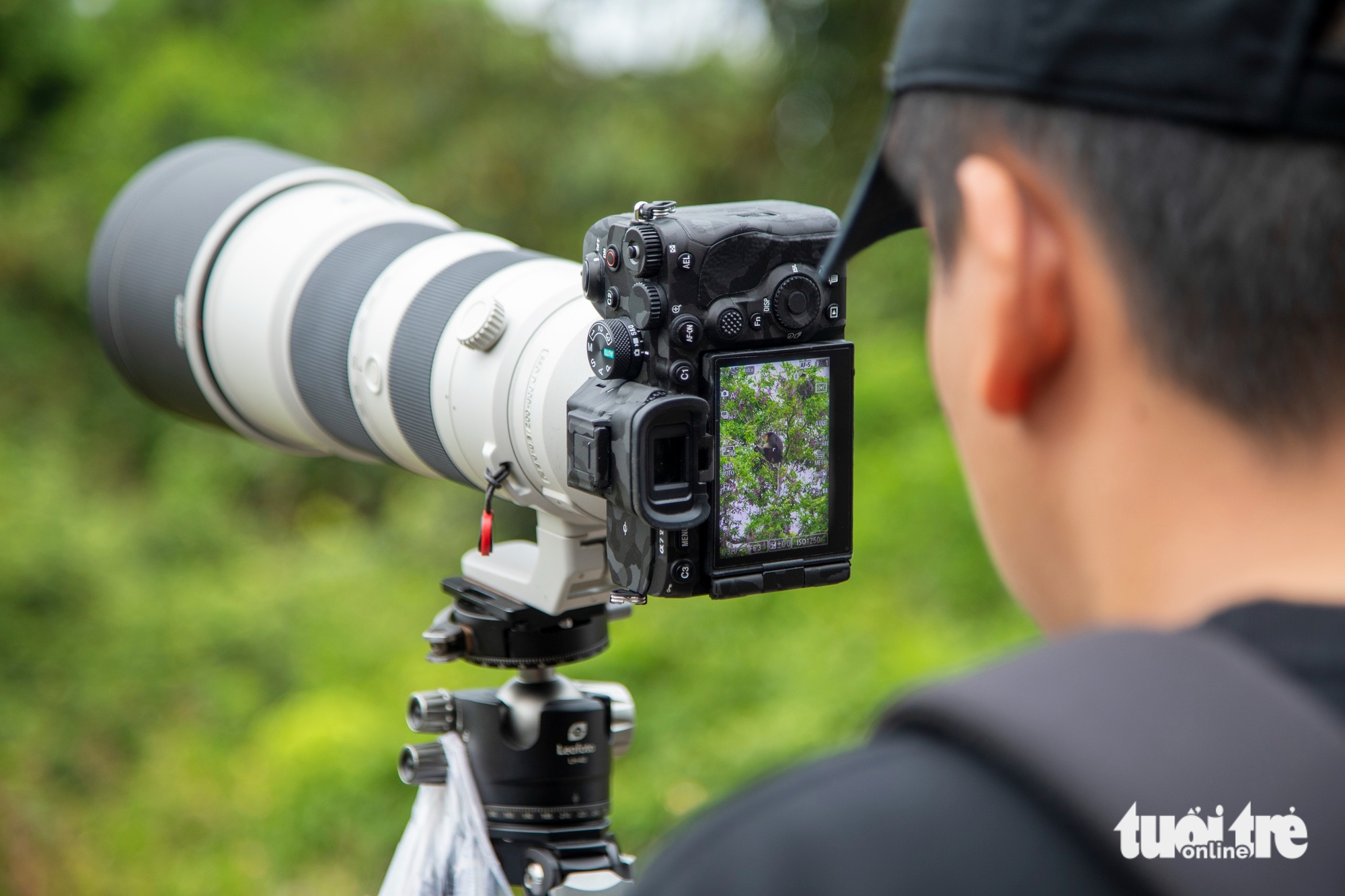 Sơn Trà - Ảnh 8.