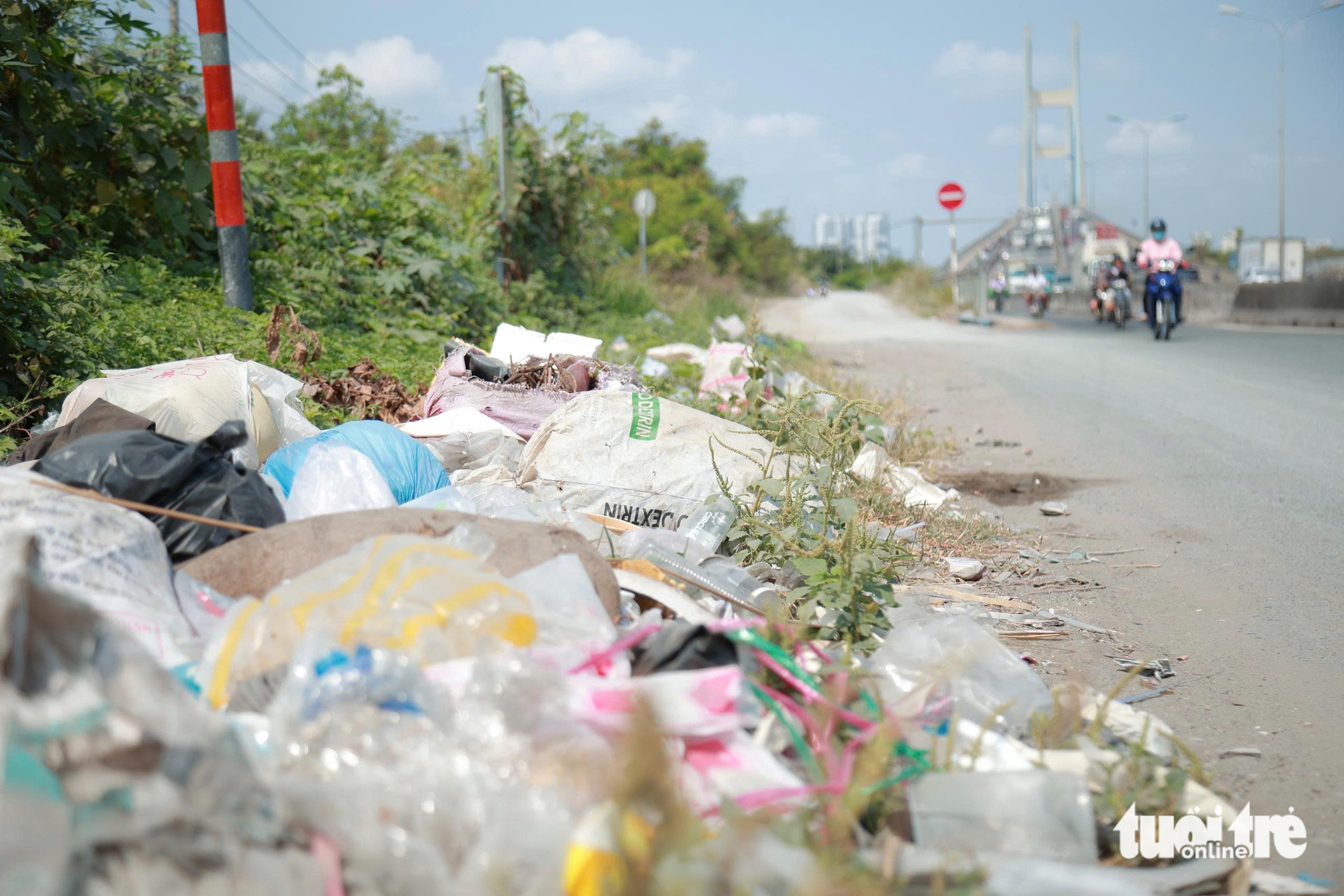 rác thải - Ảnh 1.