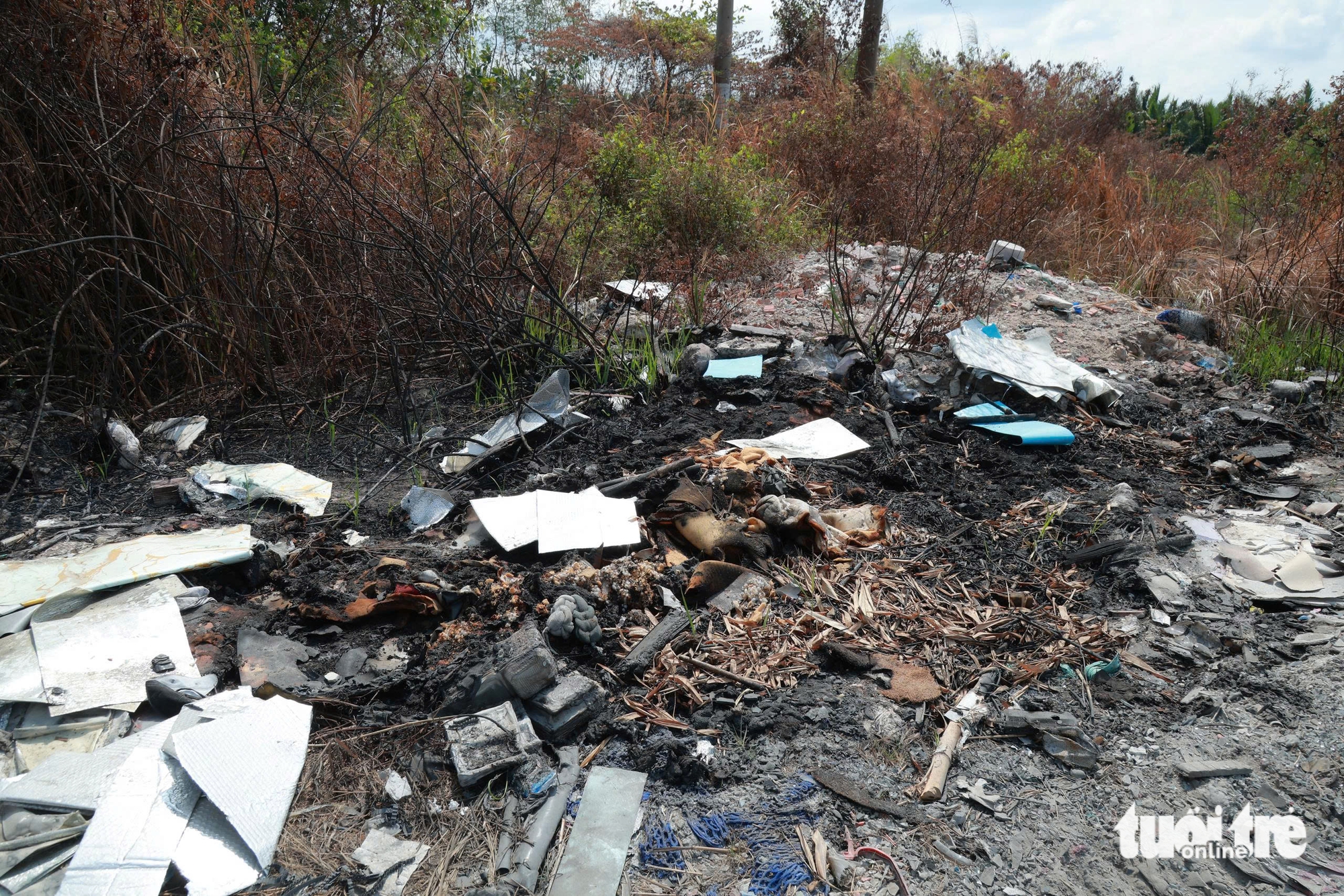 rác thải - Ảnh 8.