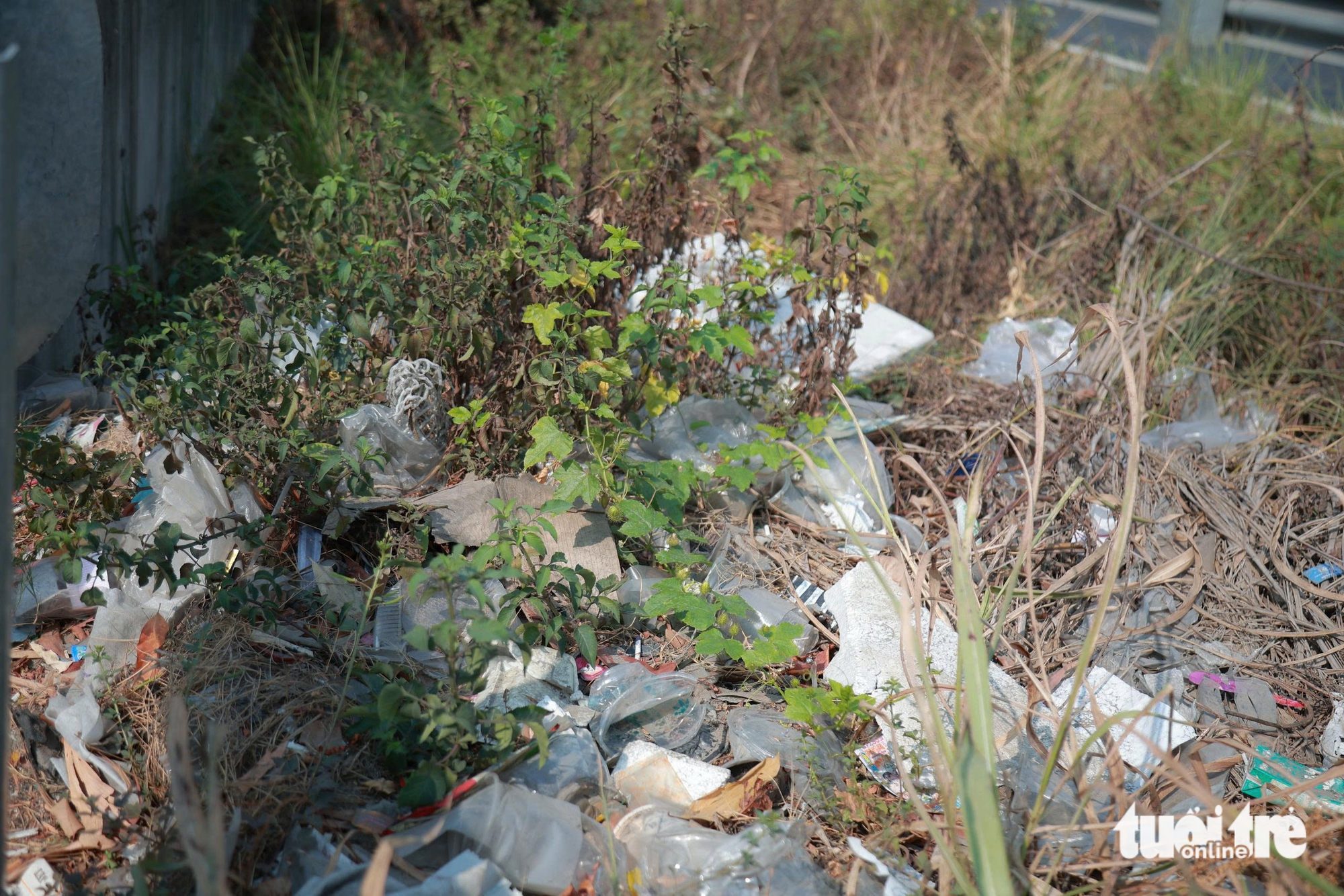 rác thải - Ảnh 3.
