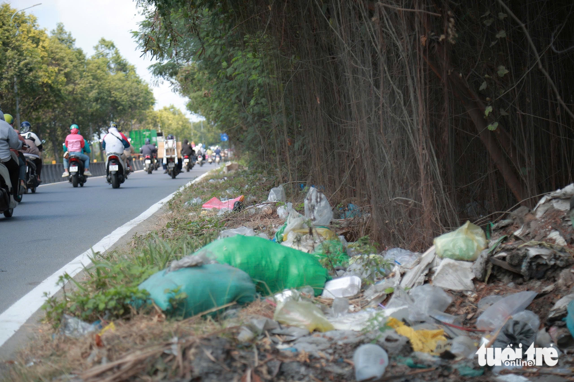 rác thải - Ảnh 7.