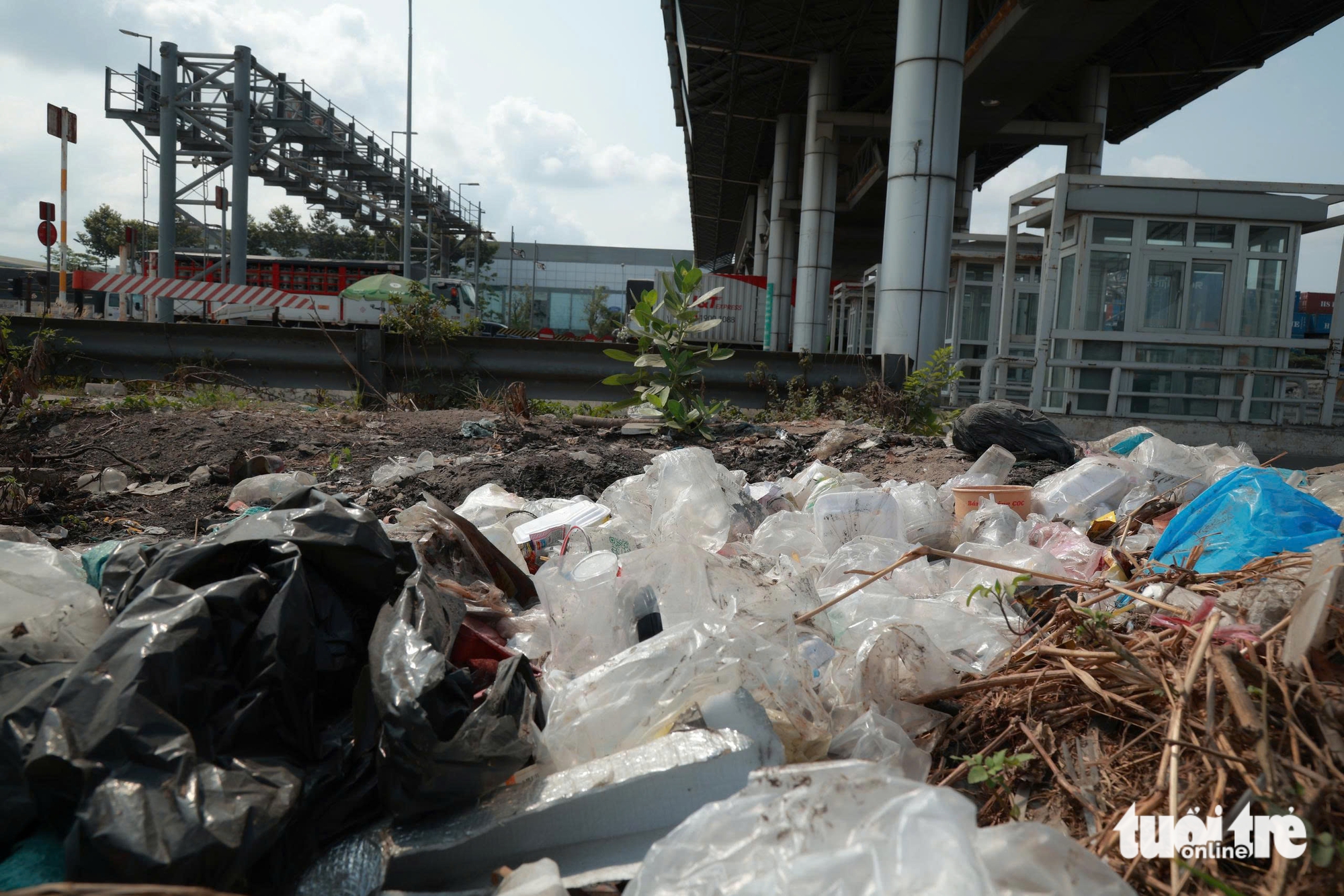 rác thải - Ảnh 9.