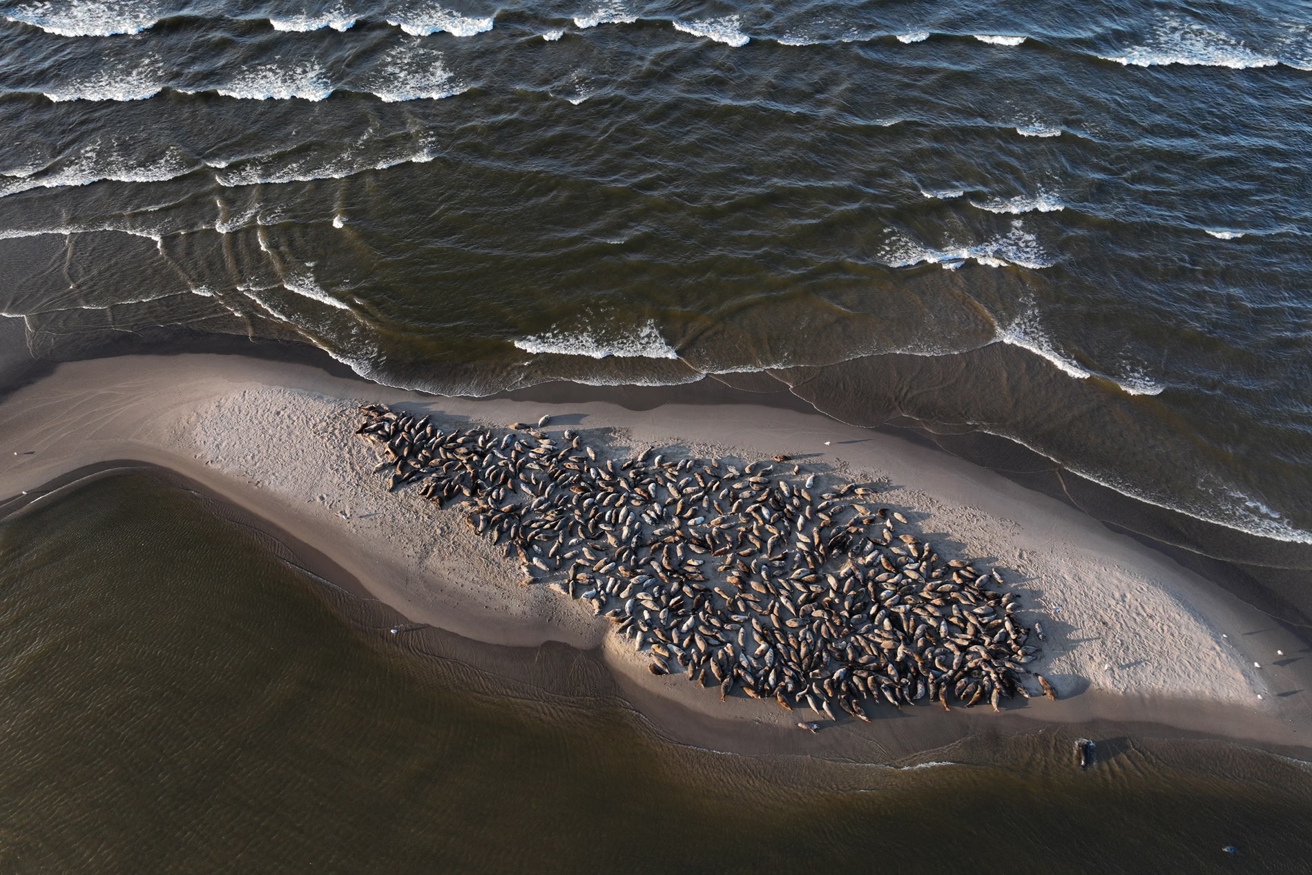 Tin tức thế giới 24-4: - Ảnh 2.