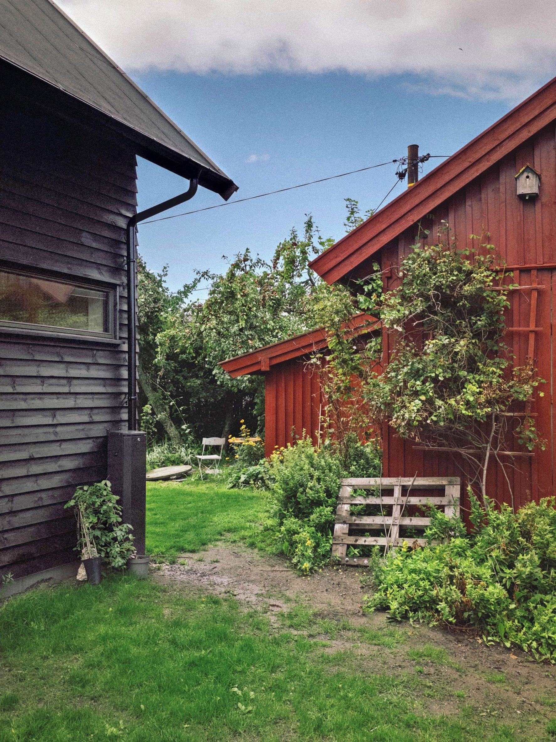 ngôi nhà - Ảnh 4.