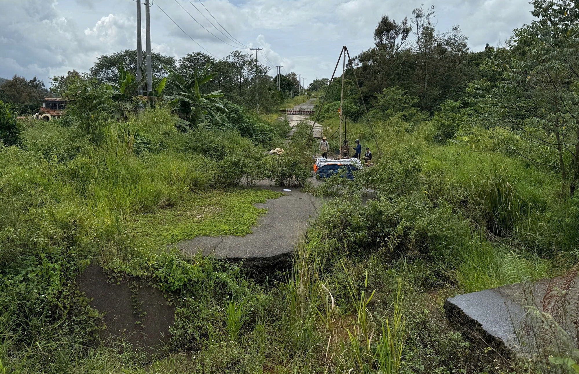 bảo lộc - Ảnh 1.