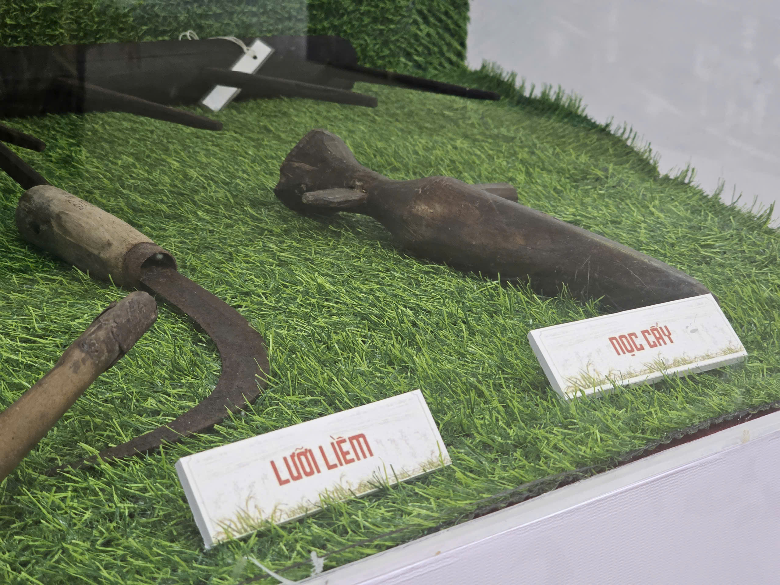 Bảo tàng lúa nước - Ảnh 6.