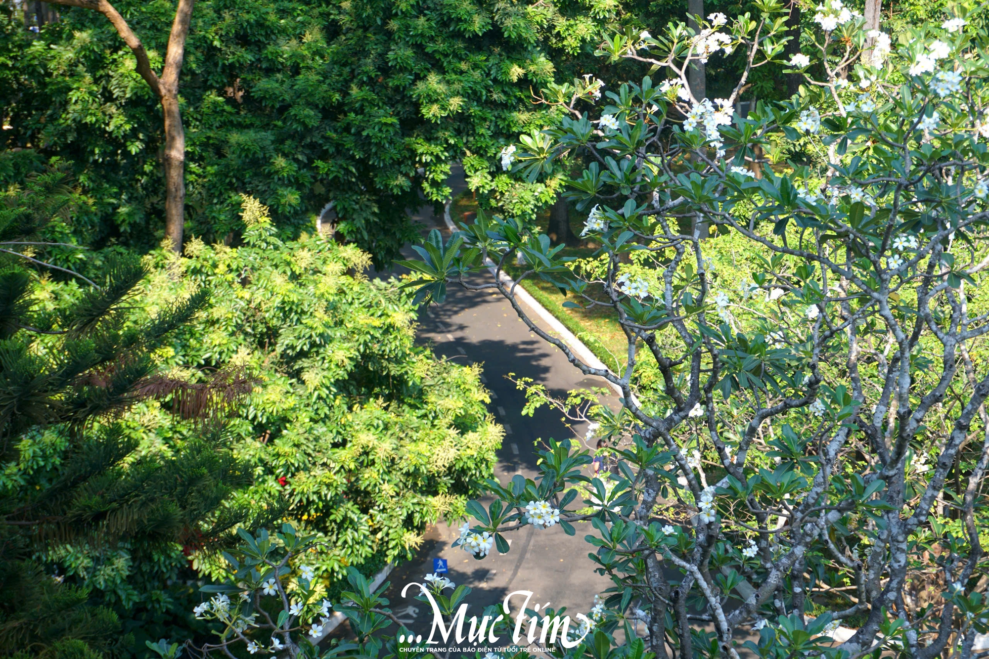 Gợi ý lịch trình một ngày vi vu TP.HCM dịp lễ 30-4 và 1-5 - Ảnh 5.