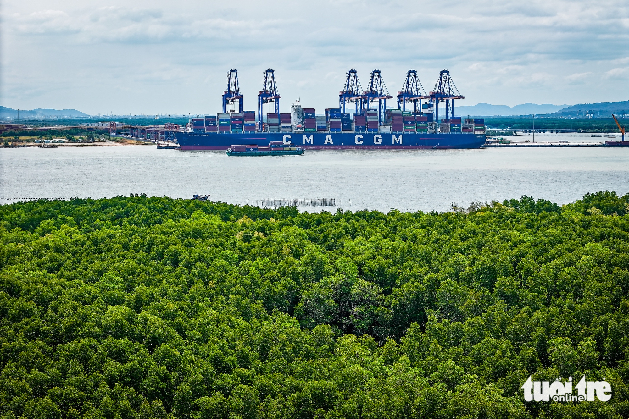 Cần Giờ - Ảnh 4.