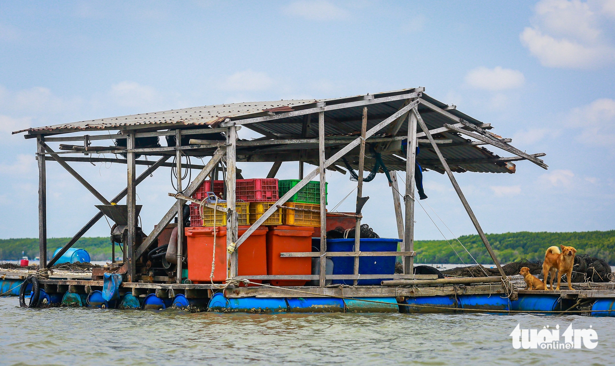 Cần Giờ - Ảnh 9.