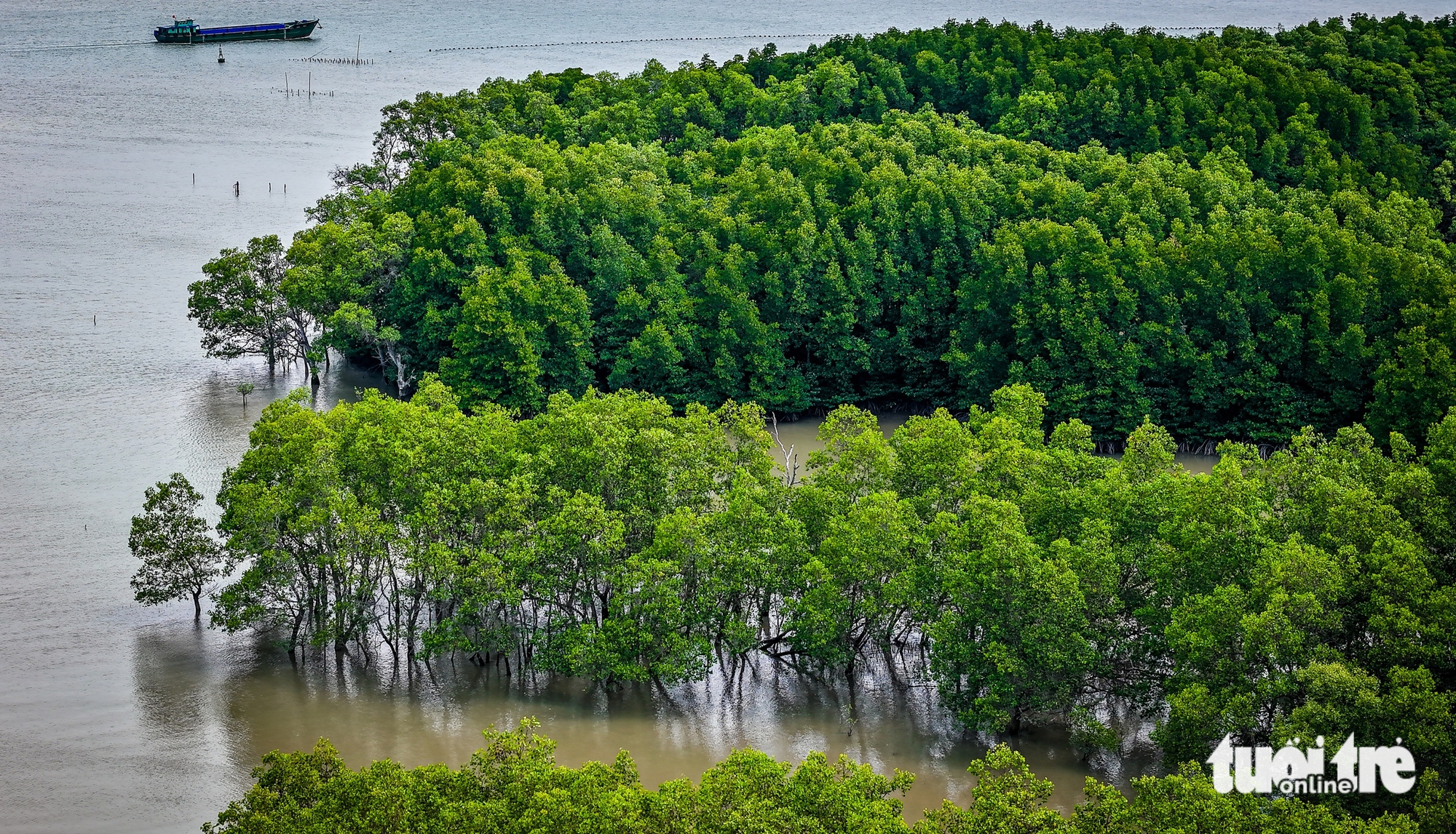 Cần Giờ - Ảnh 6.