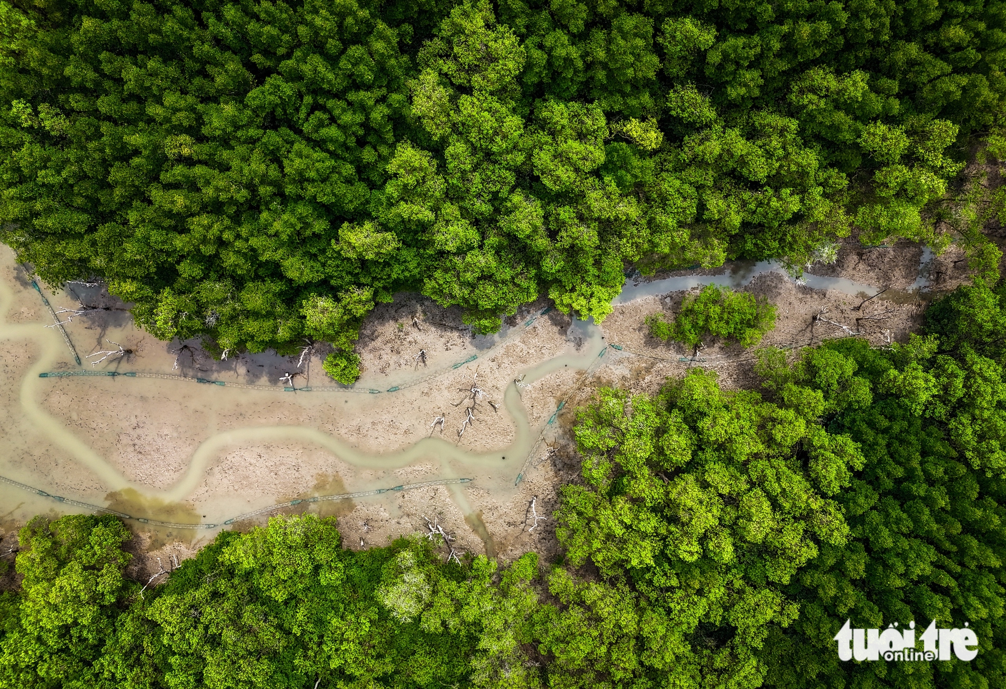 Cần Giờ - Ảnh 8.