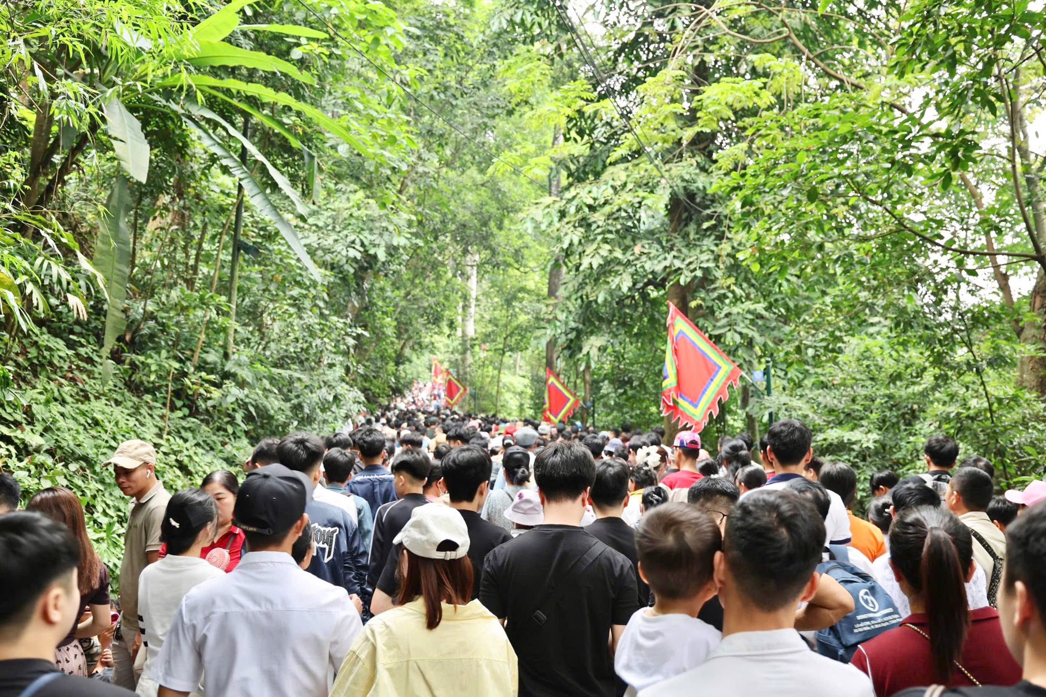 đền hùng - Ảnh 2.