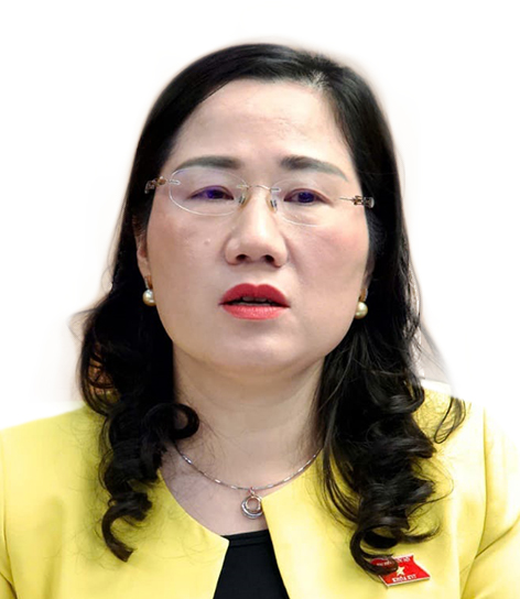 Đồng Nai lên thành phố: kỳ vọng đột phá  - Ảnh 3.