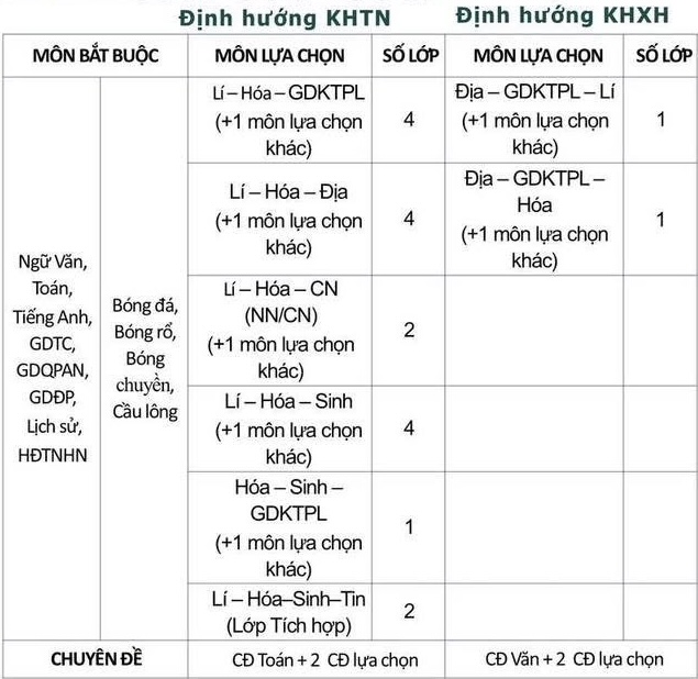 Trường THPT Nguyễn Hữu Huân tuyển sinh lớp 10: có lớp tích hợp, đa dạng tổ hợp môn- Ảnh 2.