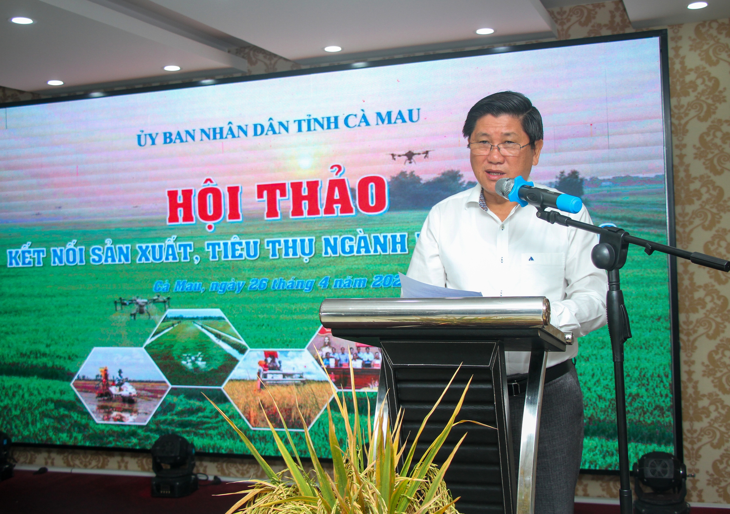 Đẩy mạnh liên kết để nâng giá trị hạt gạo Cà Mau - Ảnh 2.