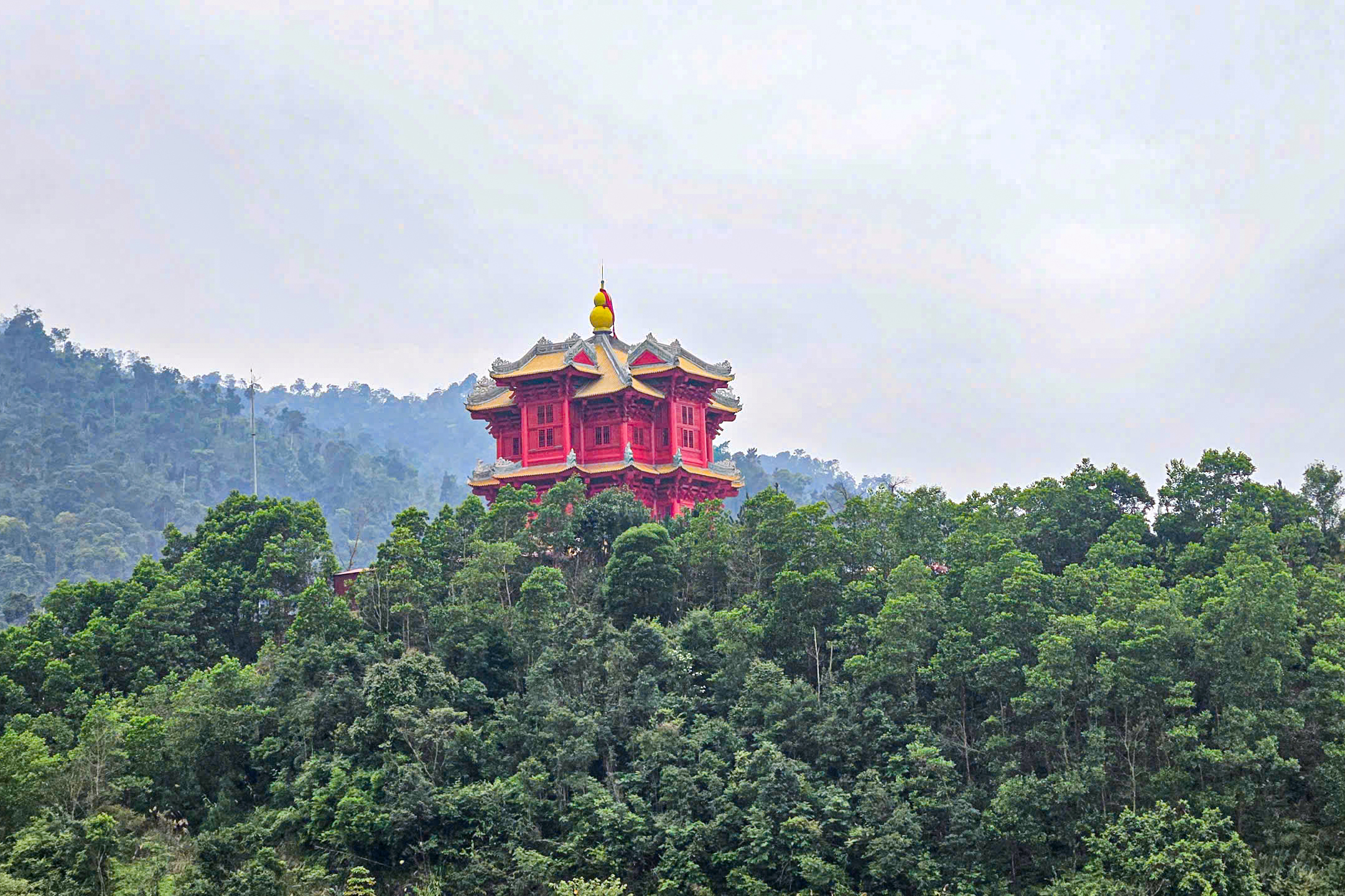 ong đốt - Ảnh 3.