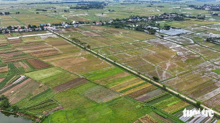 Đất nông nghiệp có nhà ở được bồi thường theo giá nào? - Ảnh 1.