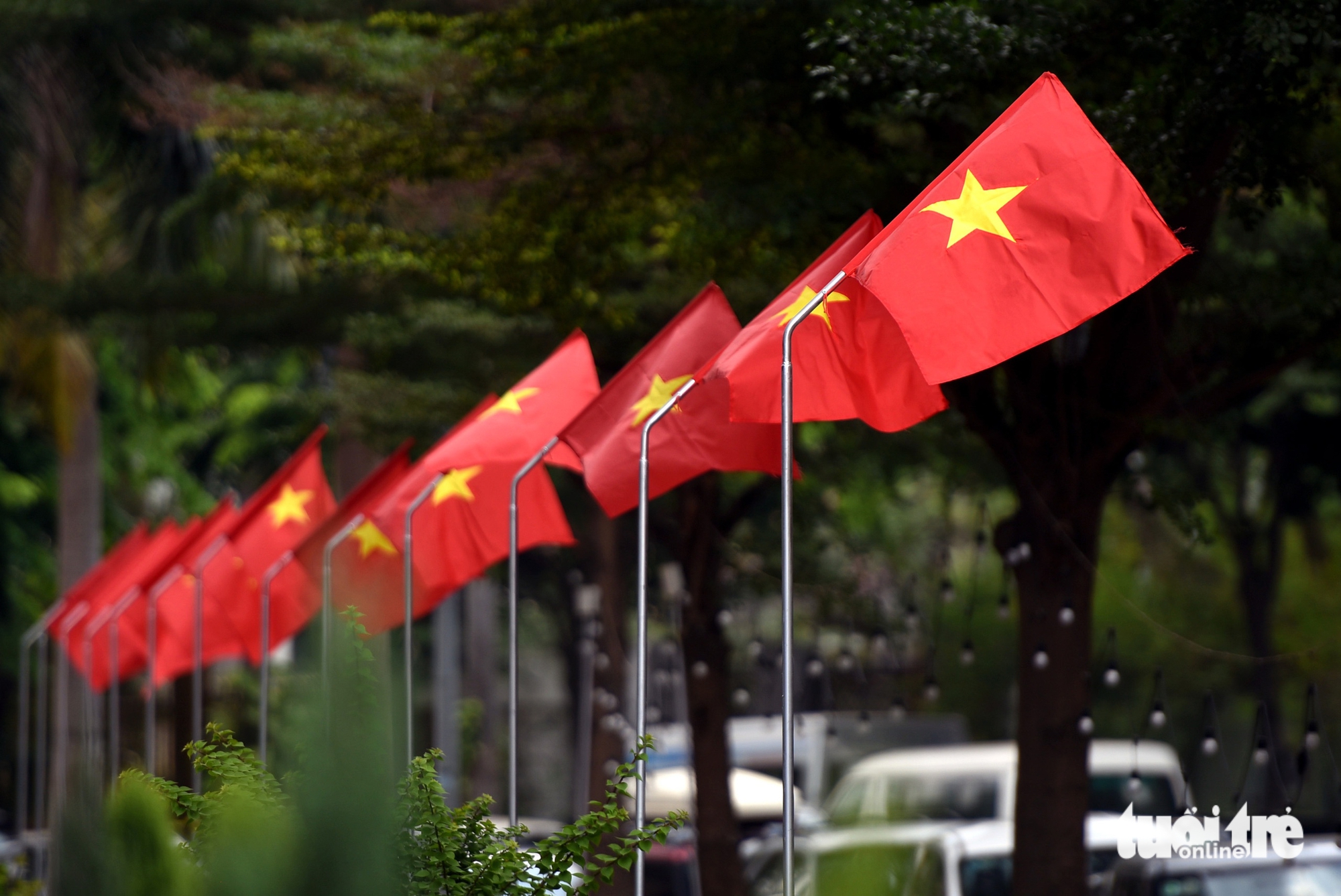 Đồng Nai rực rỡ cờ hoa 30-4, hôm nay chính thức trở thành thành phố - Ảnh 6.