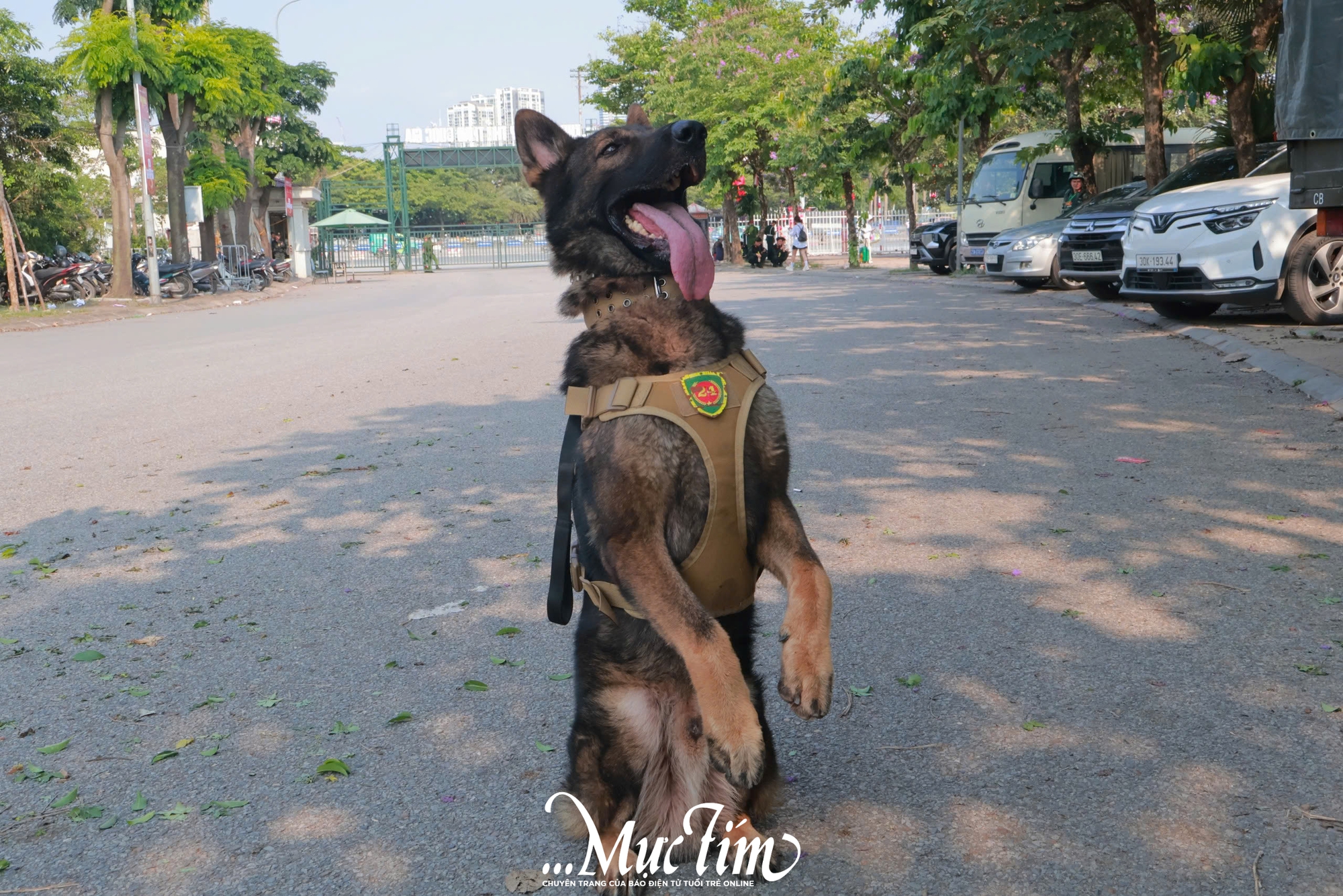 Không khí hào hùng trước giờ G của chương trình nghệ thuật Âm vang Tổ quốc - Ảnh 8.