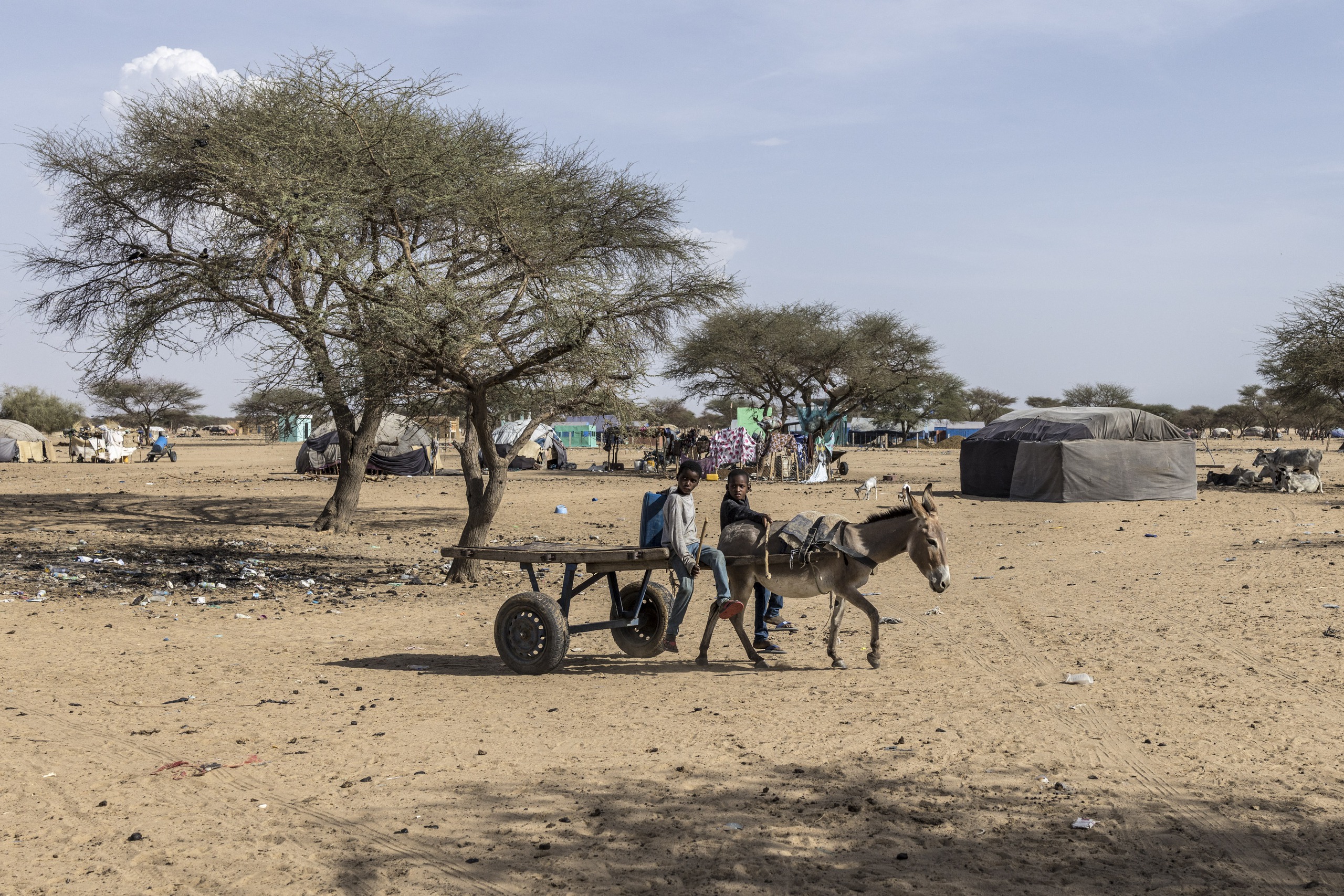 FLA tuyên bố Nga phải rút khỏi Azawad: Tình hình Mali chuyển biến nhanh chóng