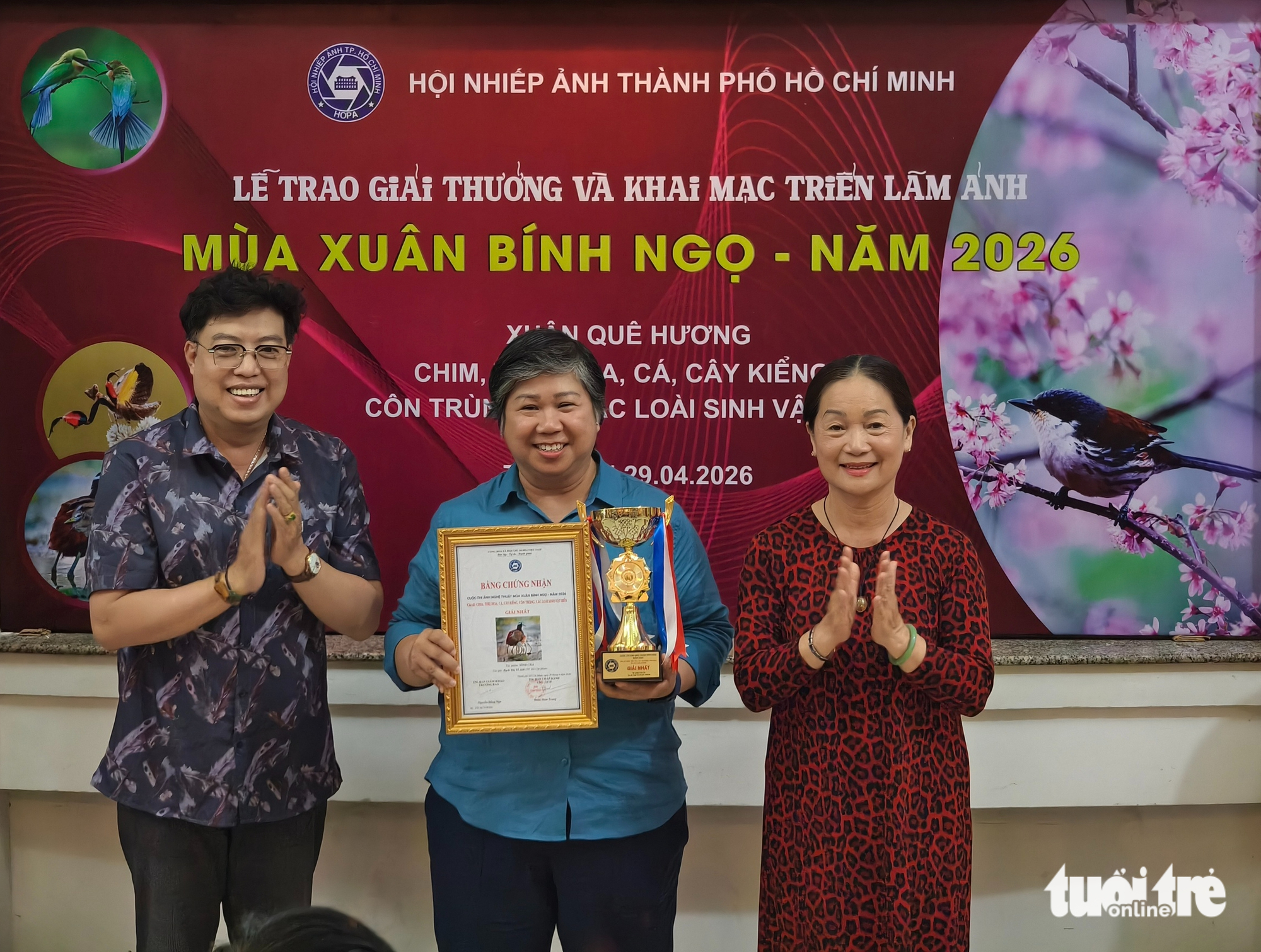 pháo hoa - Ảnh 5.