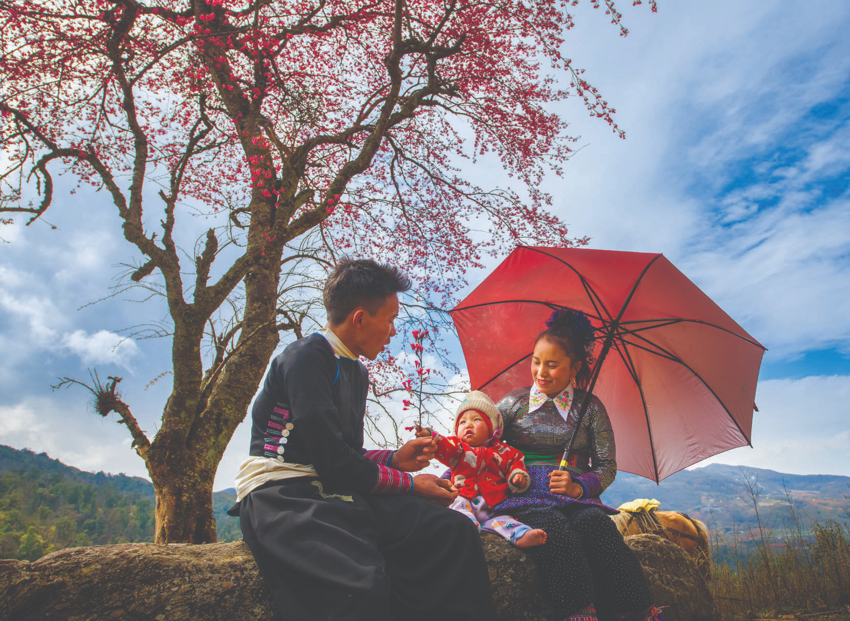 pháo hoa - Ảnh 10.