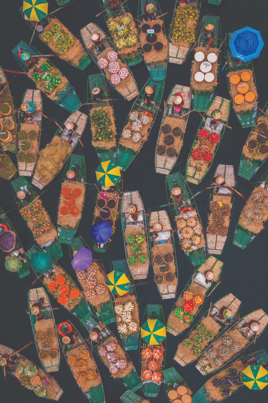 pháo hoa - Ảnh 9.