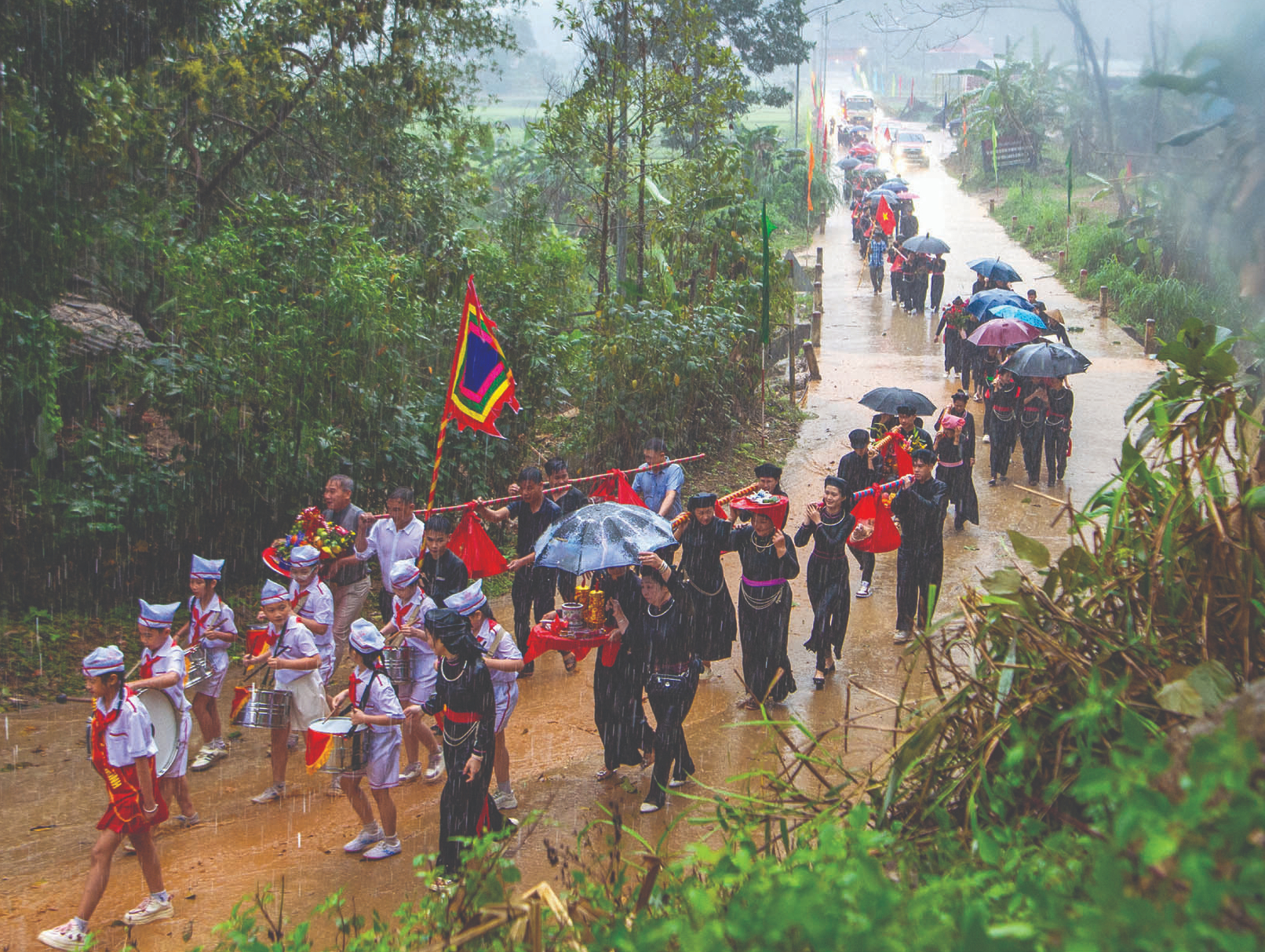 pháo hoa - Ảnh 8.