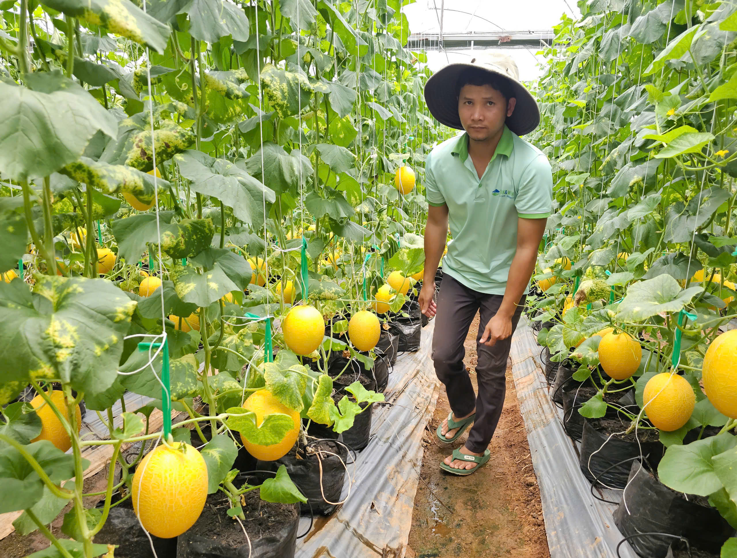 TP.HCM tổ chức cuộc thi đổi mới sáng tạo nông nghiệp, hỗ trợ tới 400 triệu đồng - Ảnh 1.