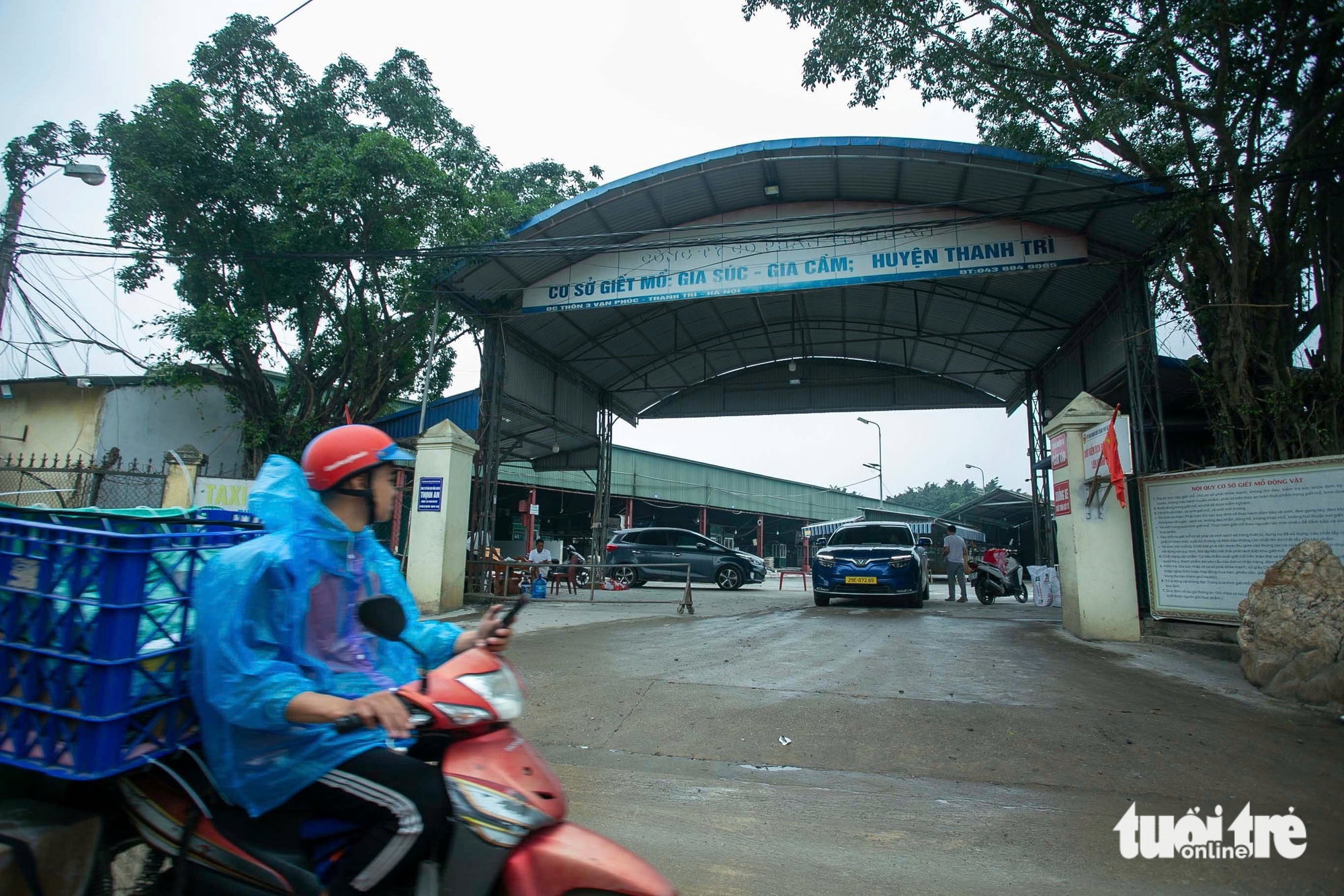 Gallery - Hanoi slaughterhouse shuttered after 300-tonne diseased pork scandal