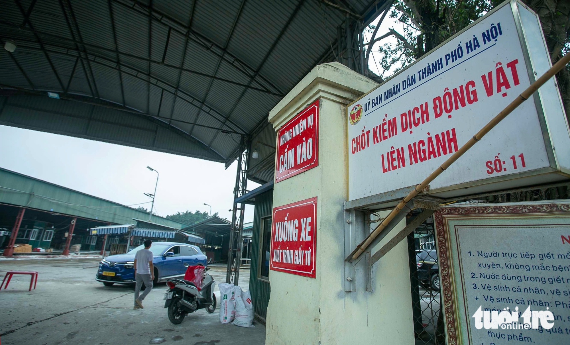 Hanoi slaughterhouse shut down after 300-tonne diseased pork scandal - Ảnh 2.